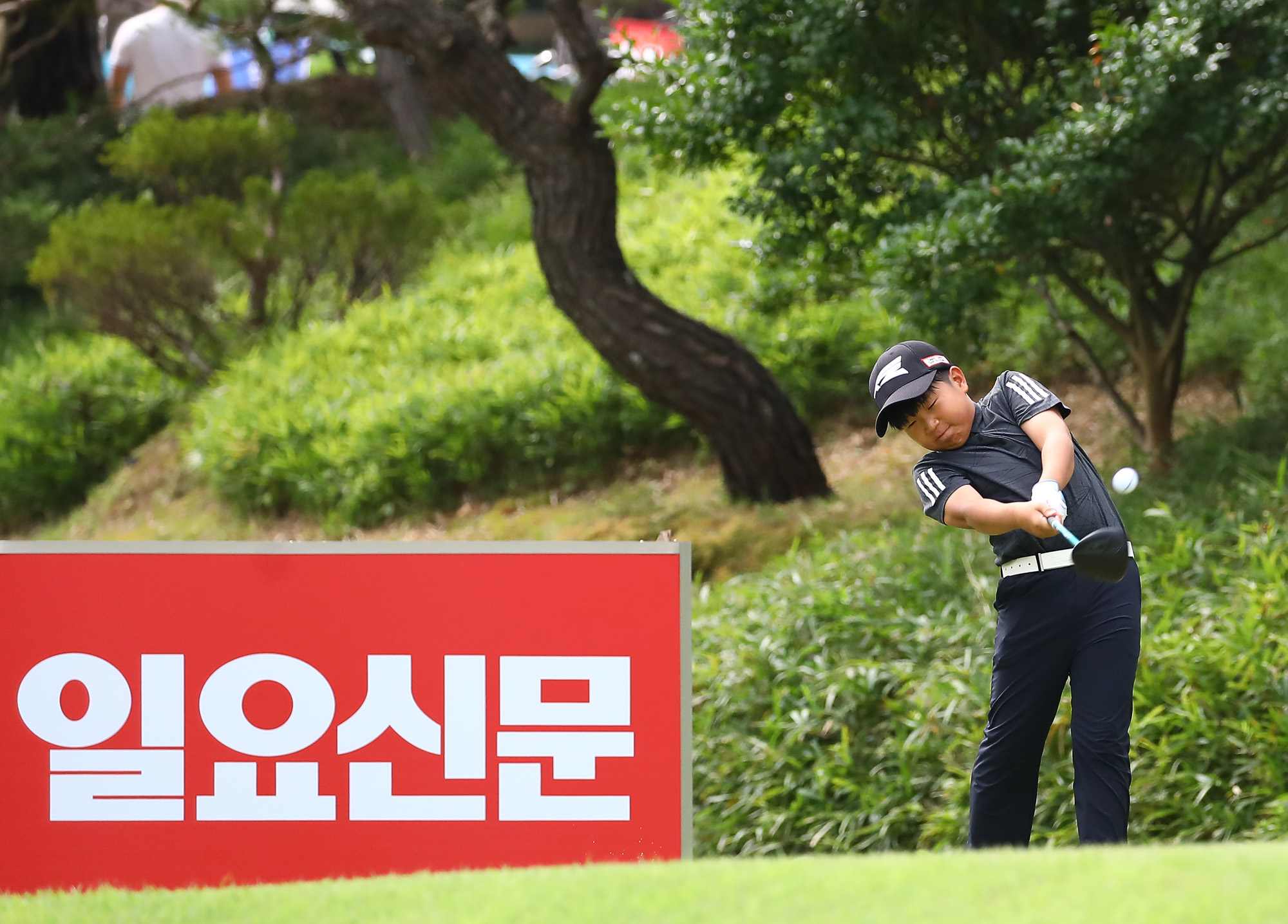 일요신문;골프 꿈나무;한국초등학교;골프연맹회장배;전국학생골프대회