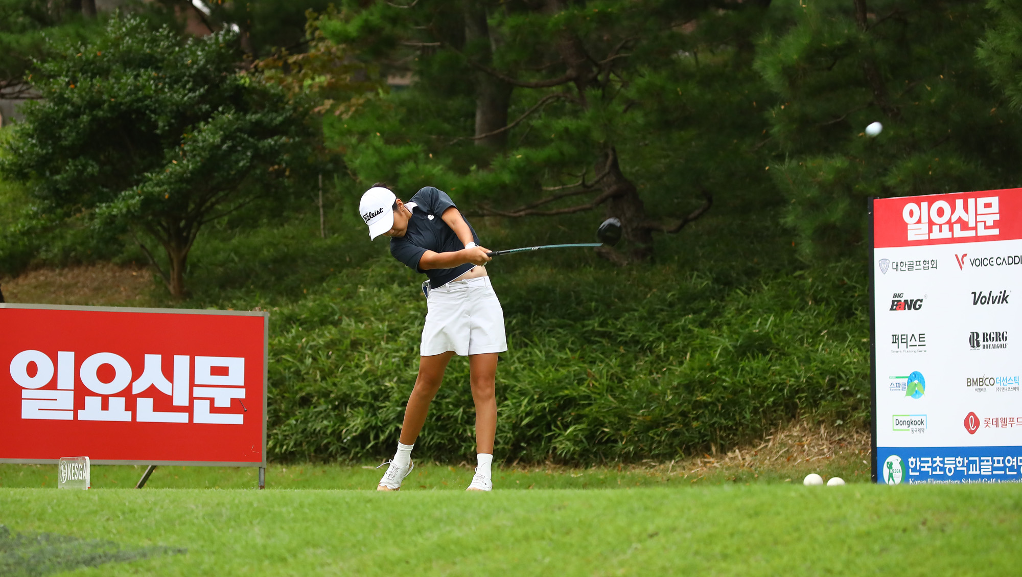 일요신문;골프 꿈나무;한국초등학교;골프연맹회장배;전국학생골프대회
