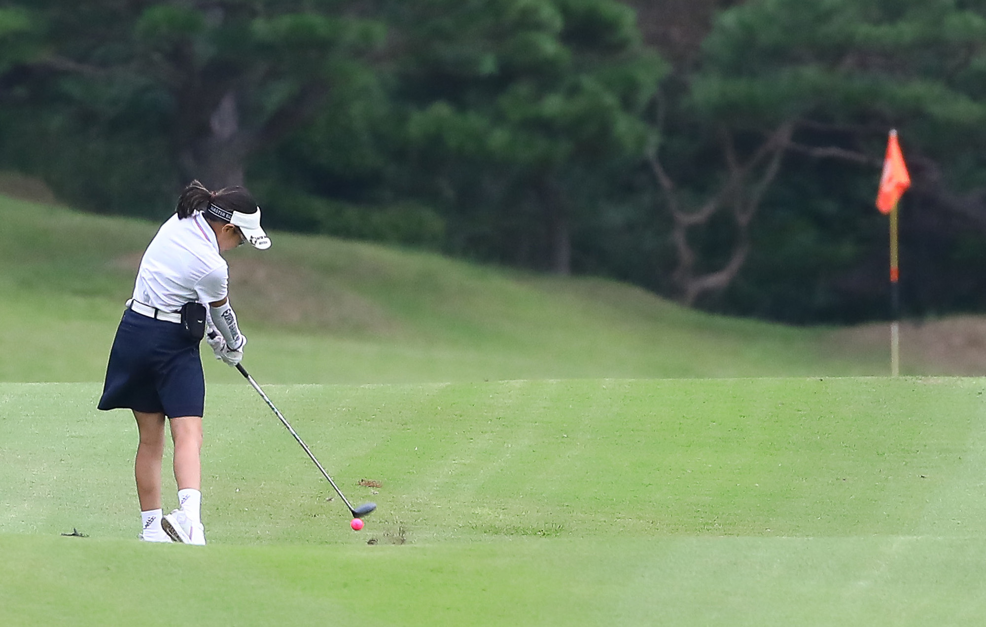 일요신문;골프 꿈나무;한국초등학교;골프연맹회장배;전국학생골프대회