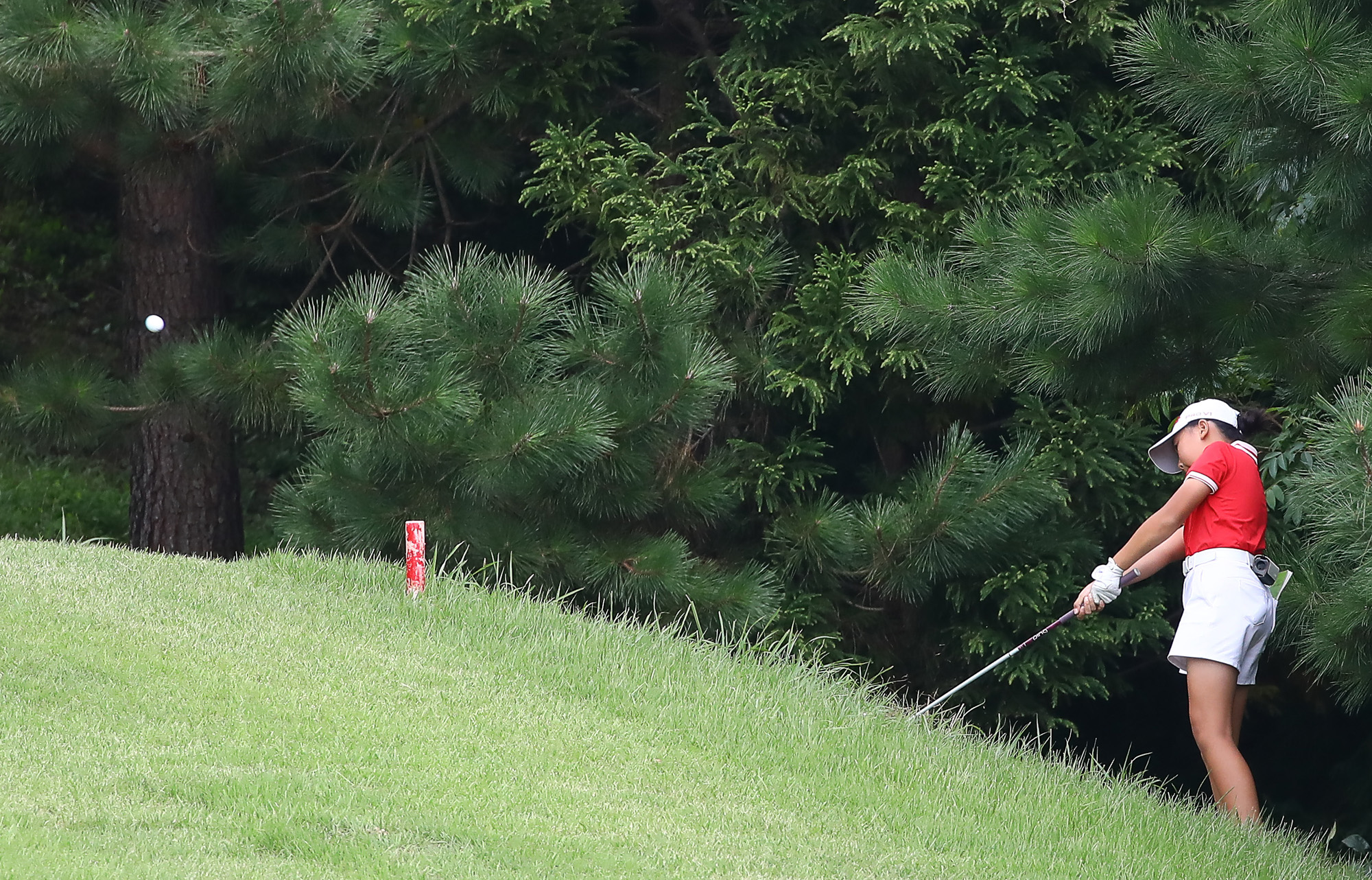 일요신문;골프 꿈나무;한국초등학교;골프연맹회장배;전국학생골프대회