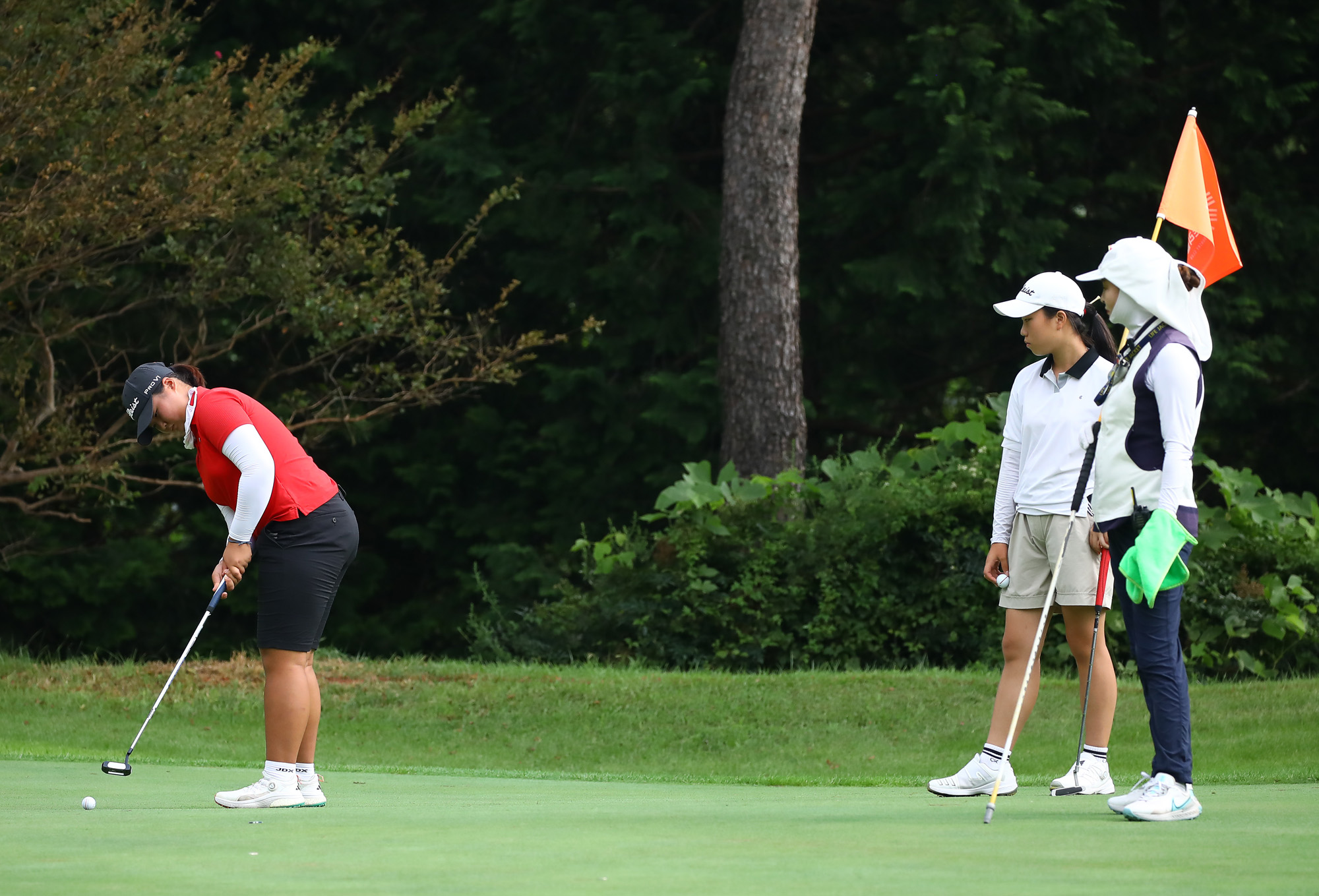 일요신문;골프 꿈나무;한국초등학교;골프연맹회장배;전국학생골프대회