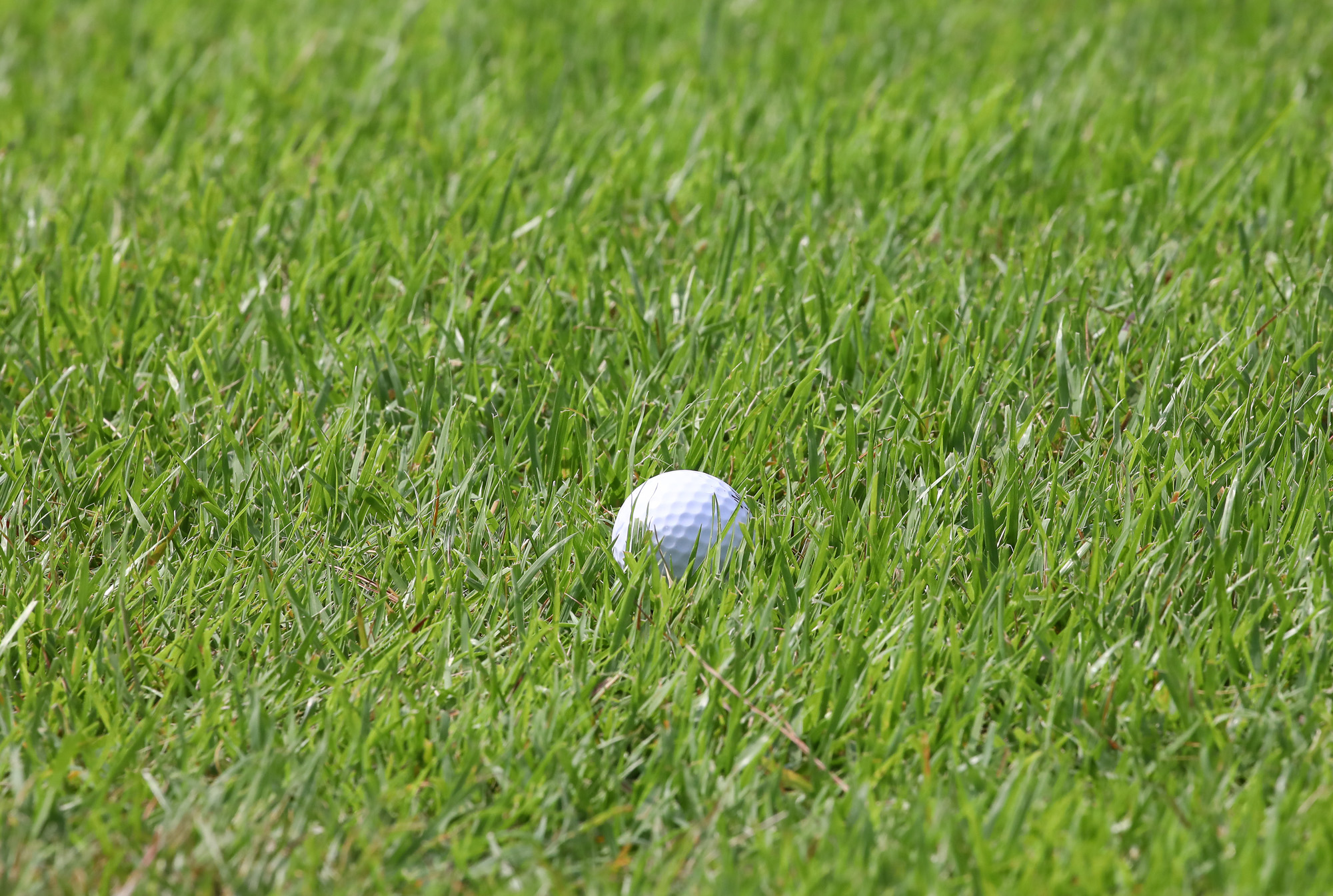 일요신문;골프 꿈나무;한국초등학교;골프연맹회장배;전국학생골프대회