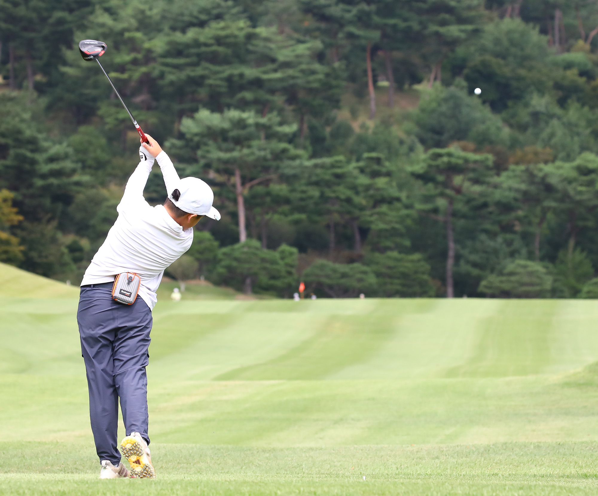 일요신문;골프 꿈나무;한국초등학교;골프연맹회장배;전국학생골프대회