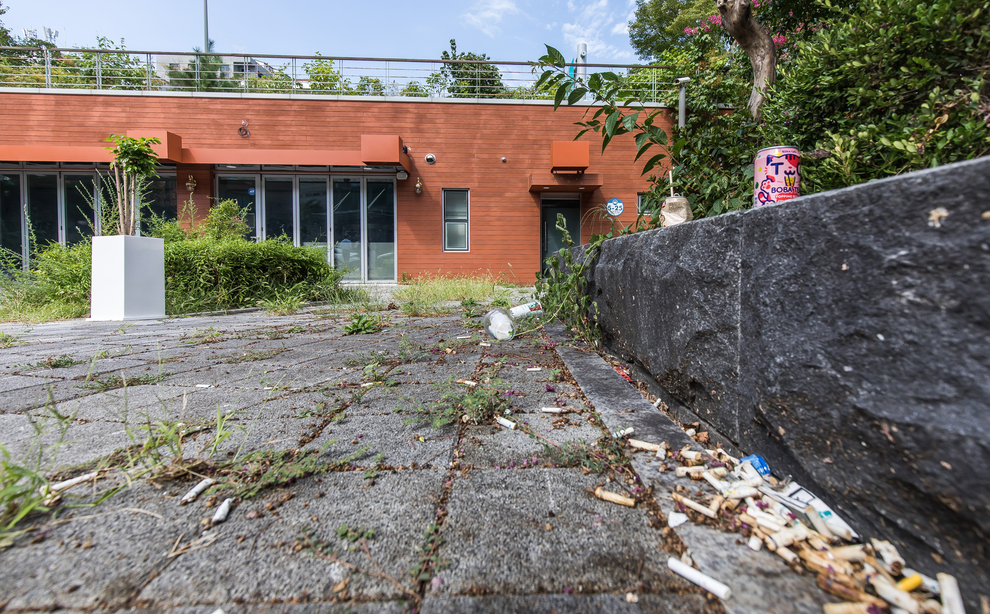 정치;인물;김대중;김대중전대통령;DJ사저;박천기;커피퍼스트랩;DJ사저매입;김대중사저매입