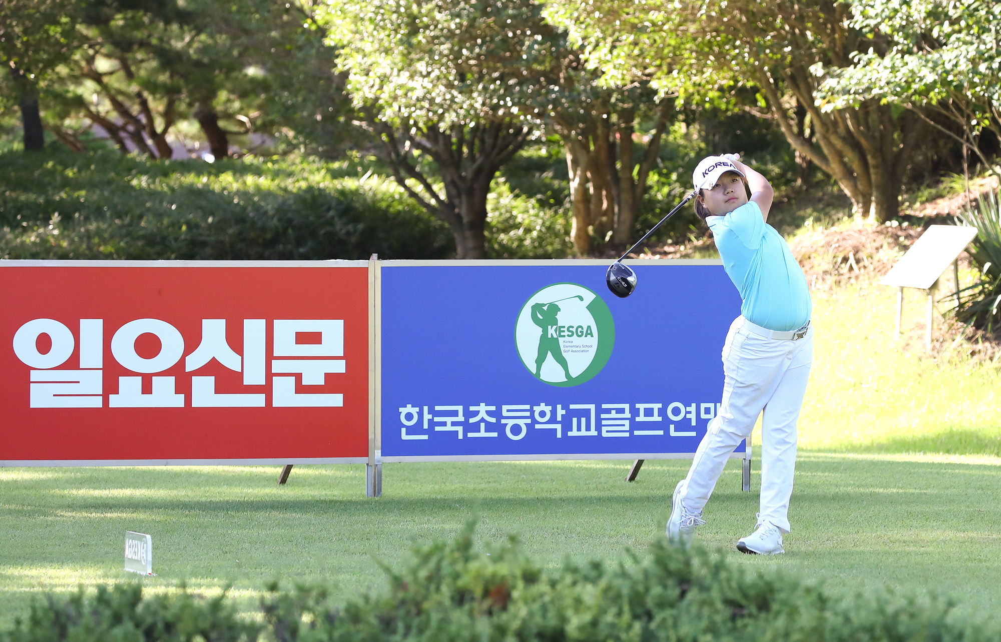 일요신문;골프 꿈나무;한국초등학교;골프연맹회장배;전국학생골프대회