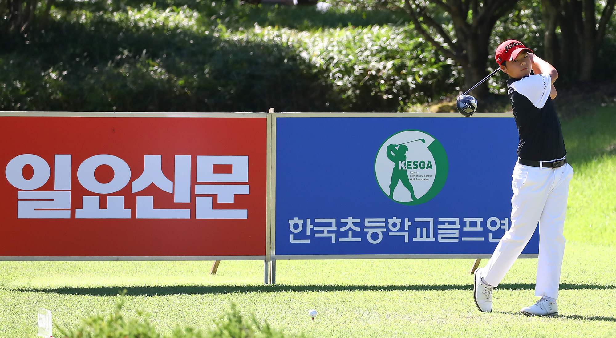 일요신문;골프 꿈나무;한국초등학교;골프연맹회장배;전국학생골프대회
