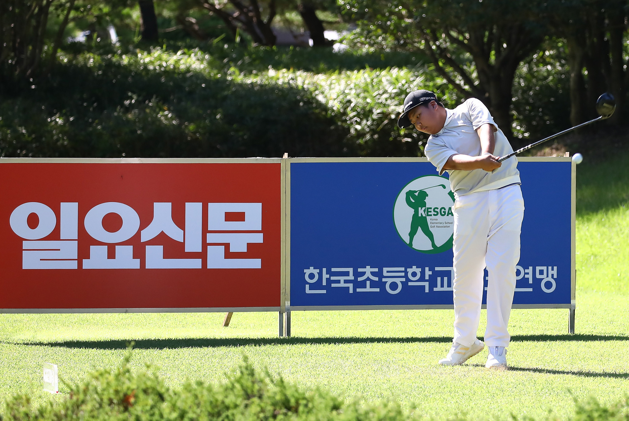 일요신문;골프 꿈나무;한국초등학교;골프연맹회장배;전국학생골프대회