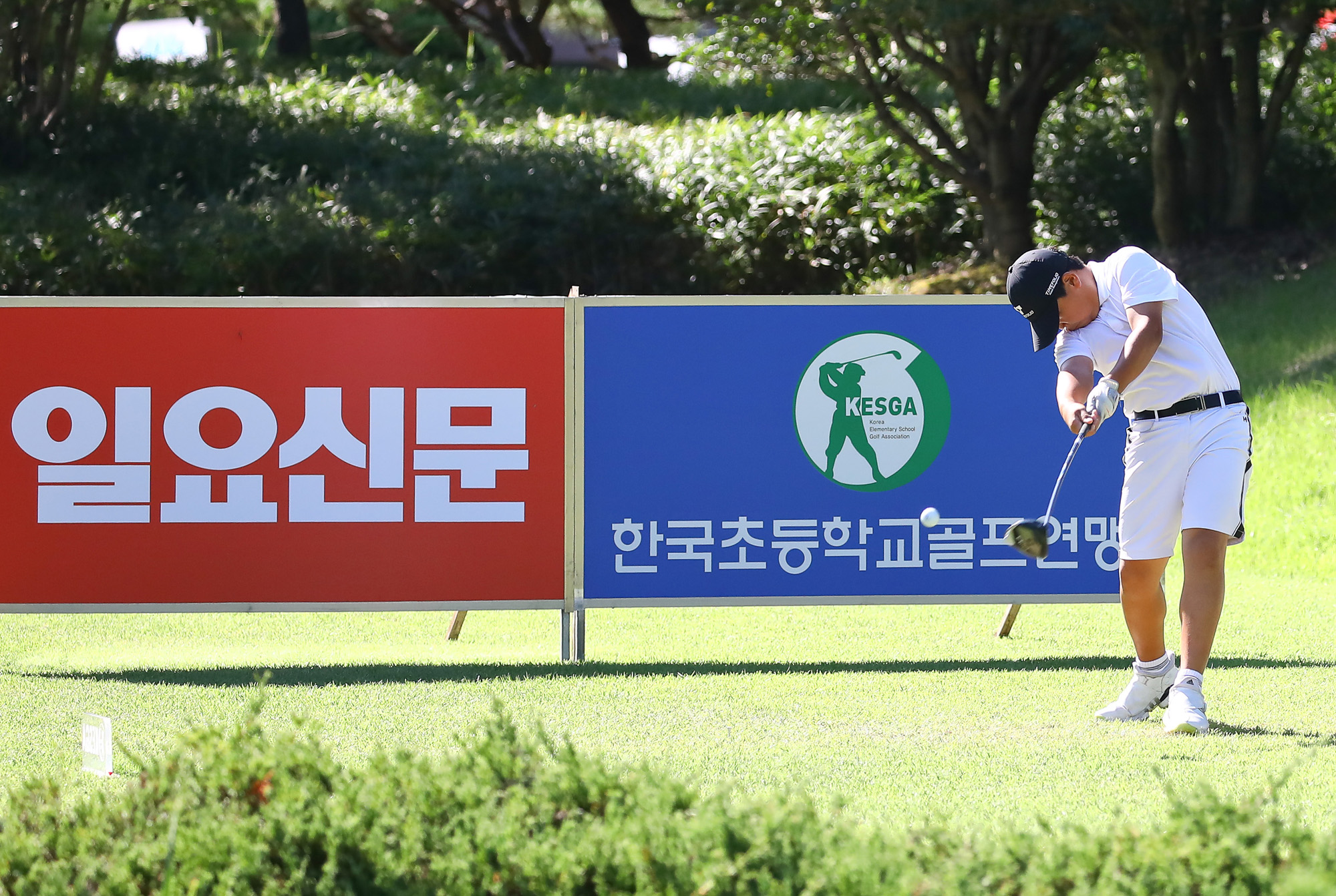 일요신문;골프 꿈나무;한국초등학교;골프연맹회장배;전국학생골프대회