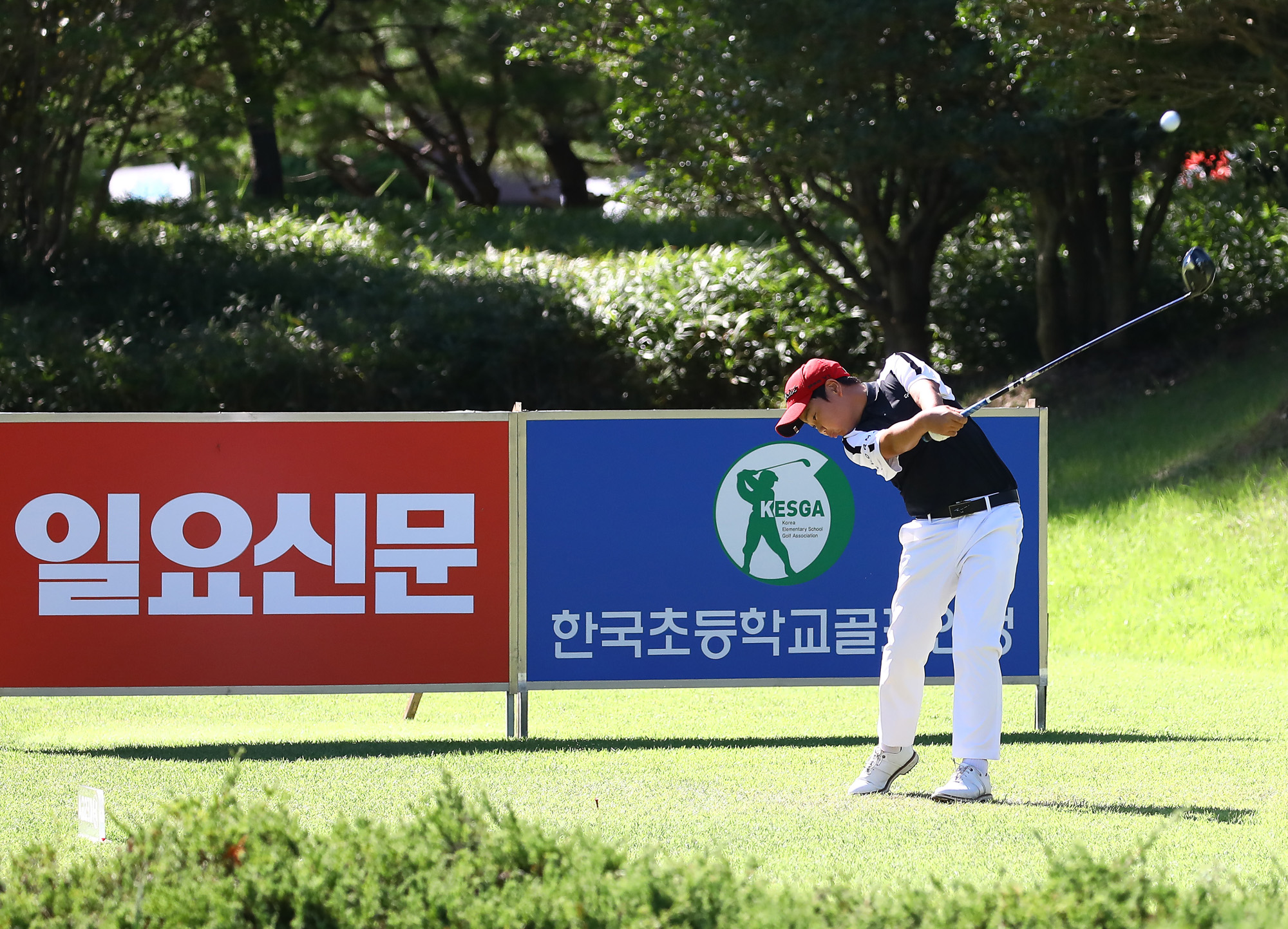 일요신문;골프 꿈나무;한국초등학교;골프연맹회장배;전국학생골프대회