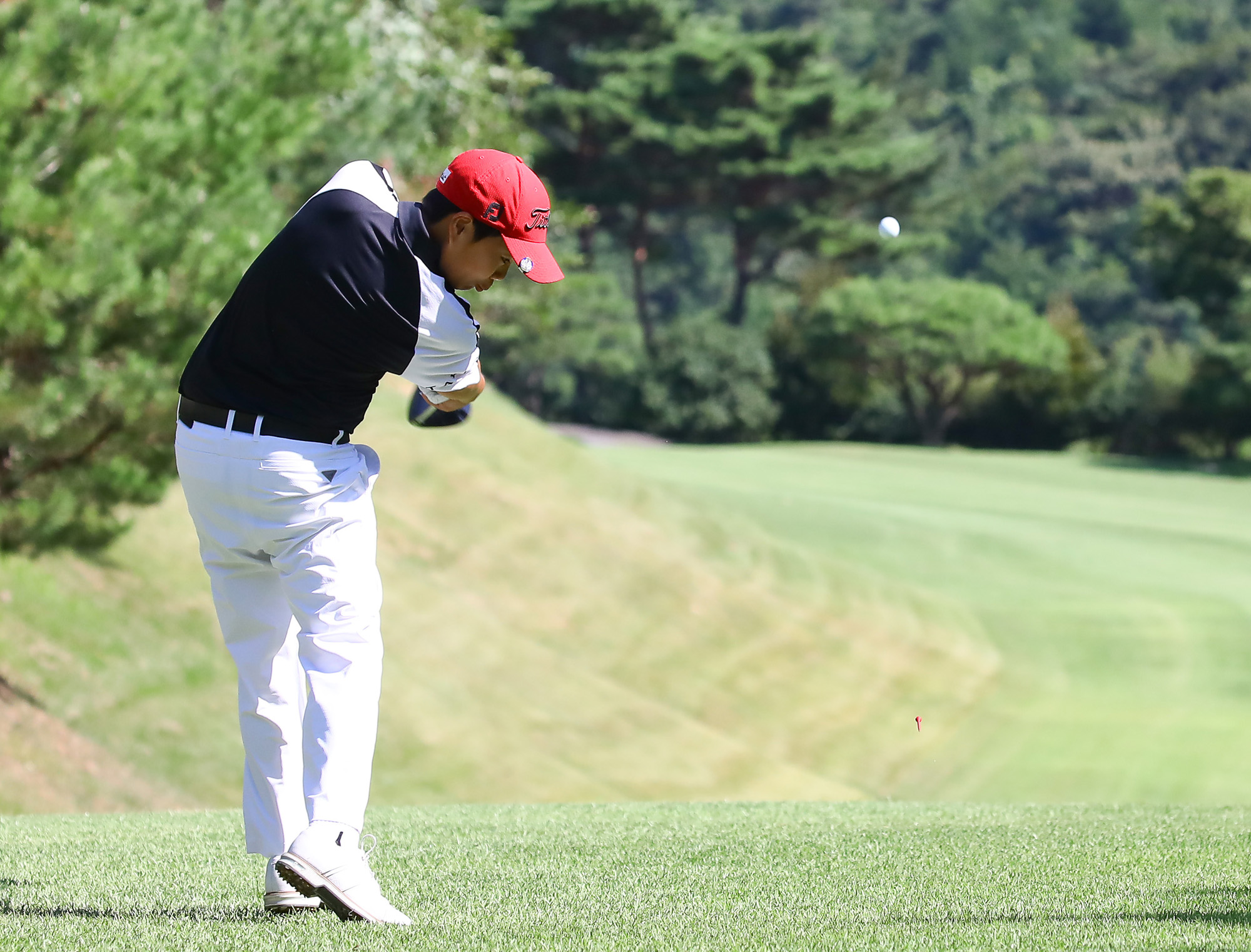 일요신문;골프 꿈나무;한국초등학교;골프연맹회장배;전국학생골프대회