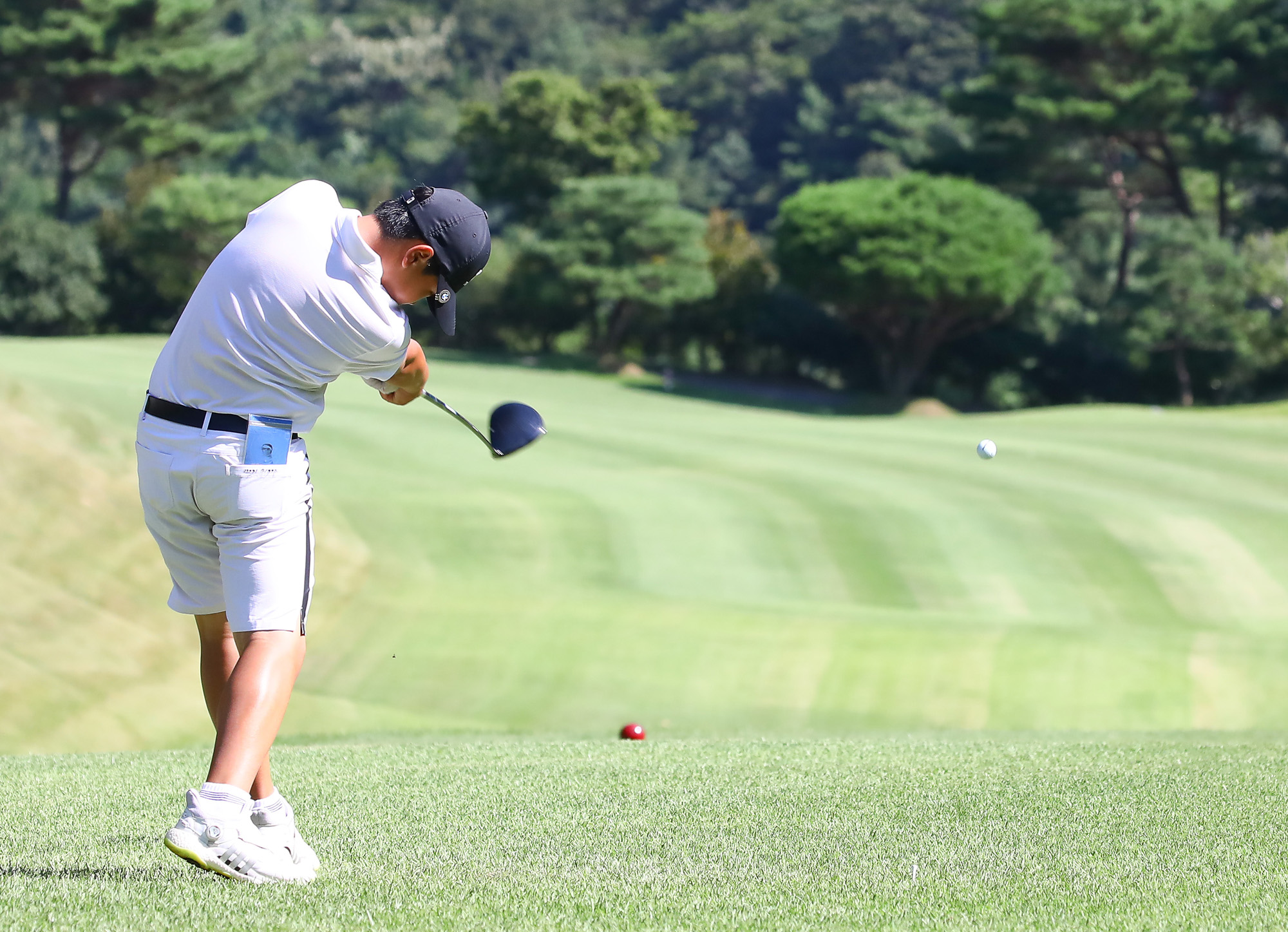 일요신문;골프 꿈나무;한국초등학교;골프연맹회장배;전국학생골프대회