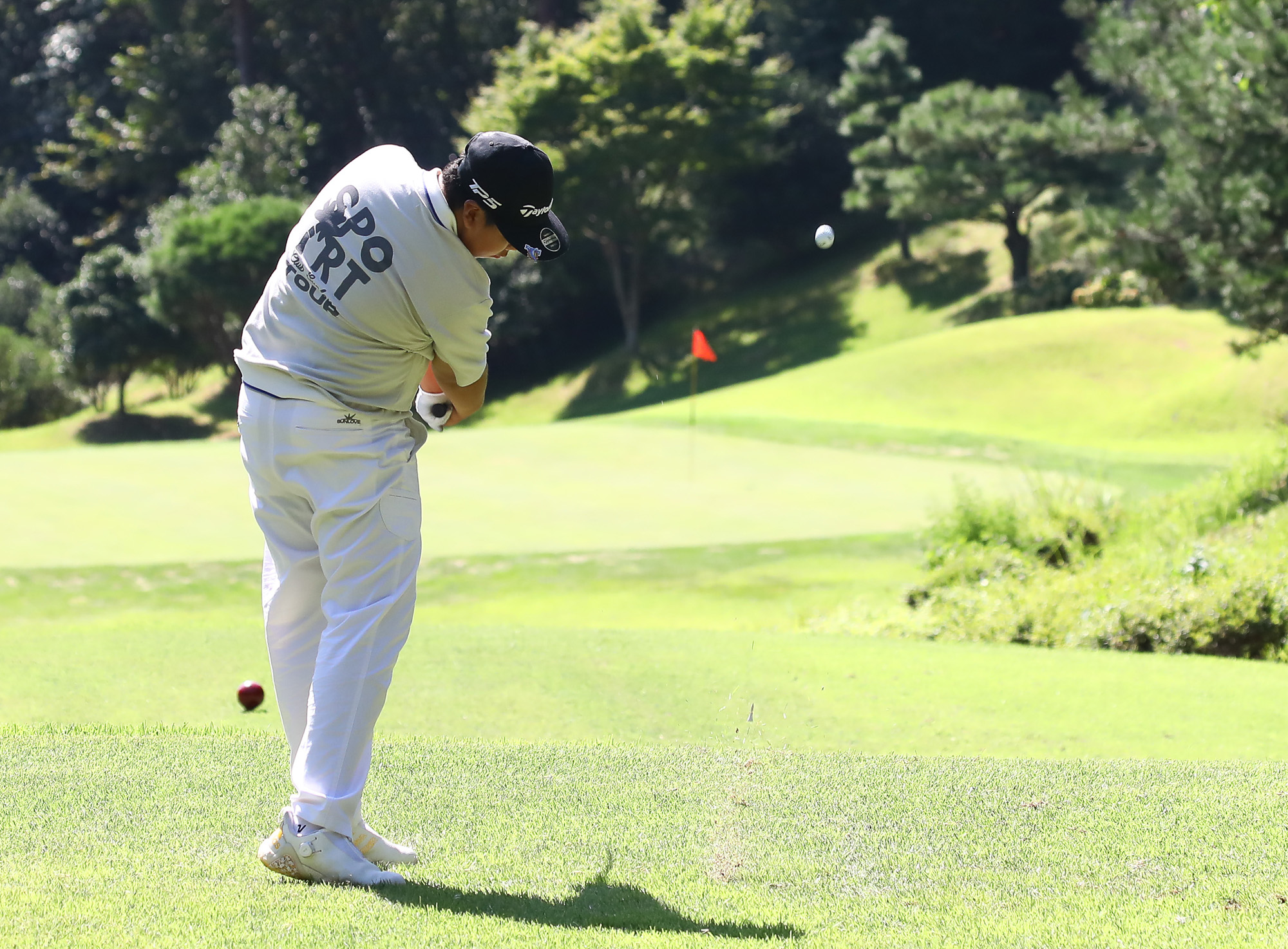 일요신문;골프 꿈나무;한국초등학교;골프연맹회장배;전국학생골프대회