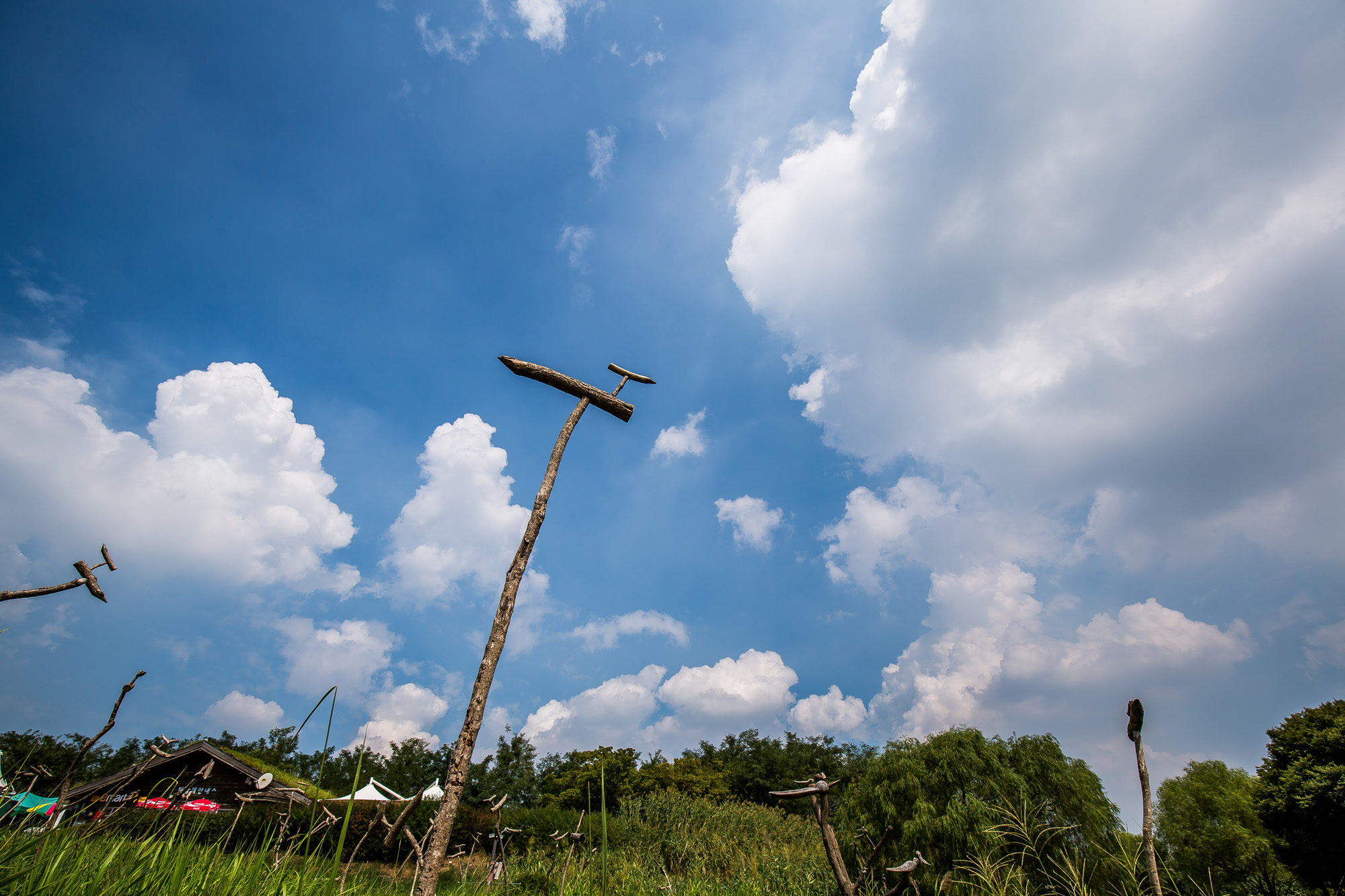사회;계절;계절스케치;가을스케치;가을무더위;하늘공원;하늘공원가을스케치
