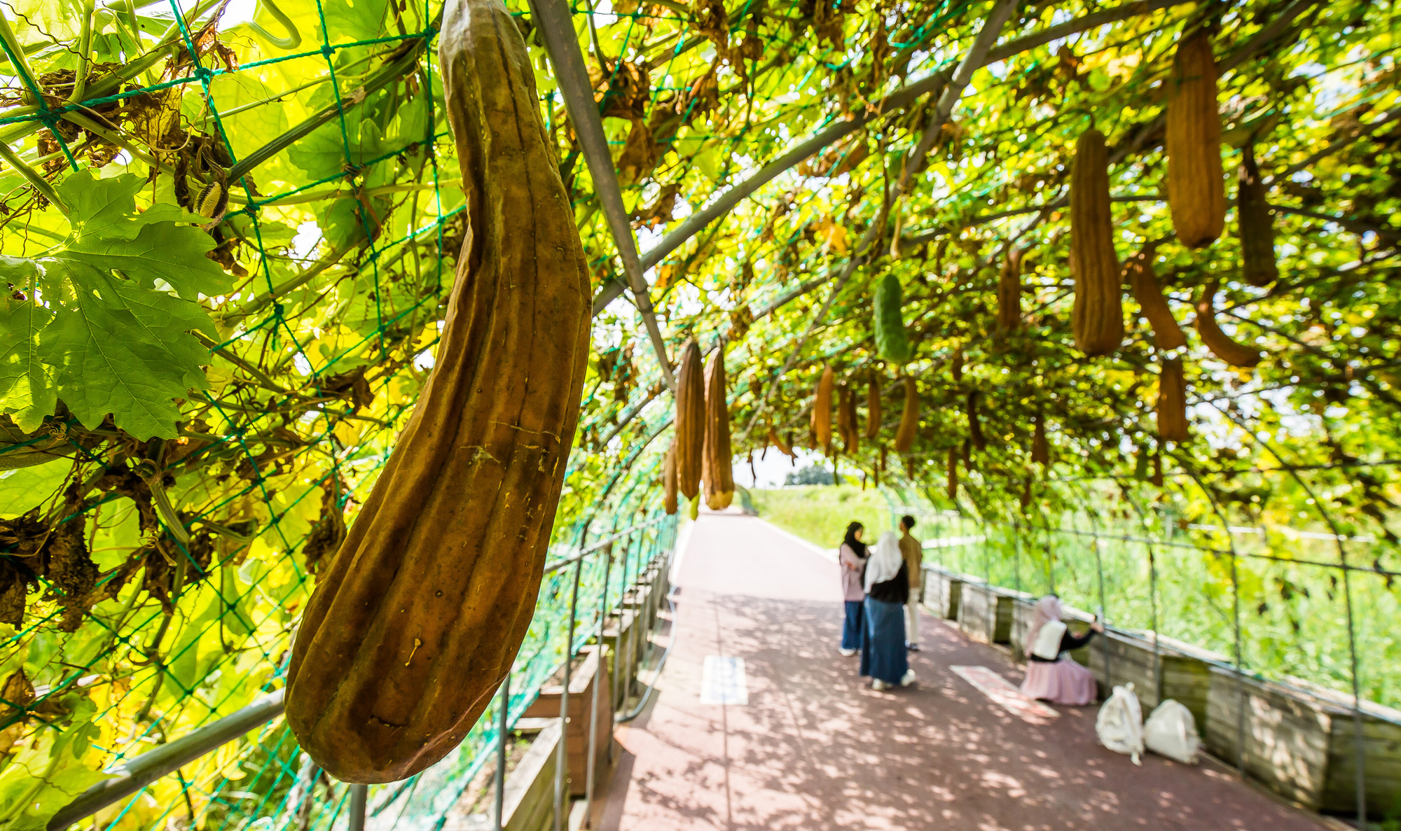 사회;계절;계절스케치;가을스케치;가을무더위;하늘공원;하늘공원가을스케치