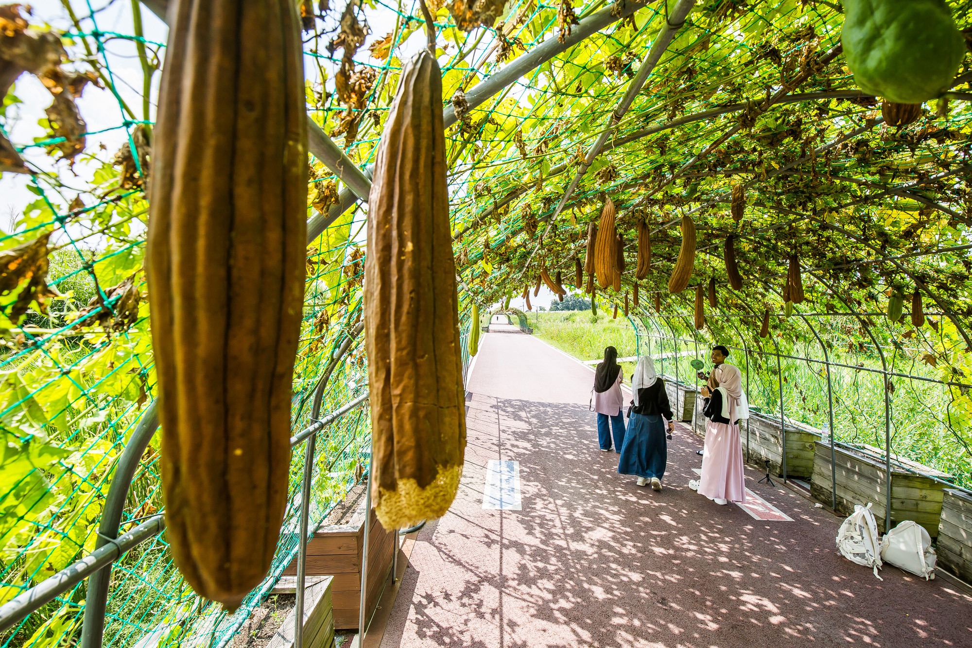 사회;계절;계절스케치;가을스케치;가을무더위;하늘공원;하늘공원가을스케치