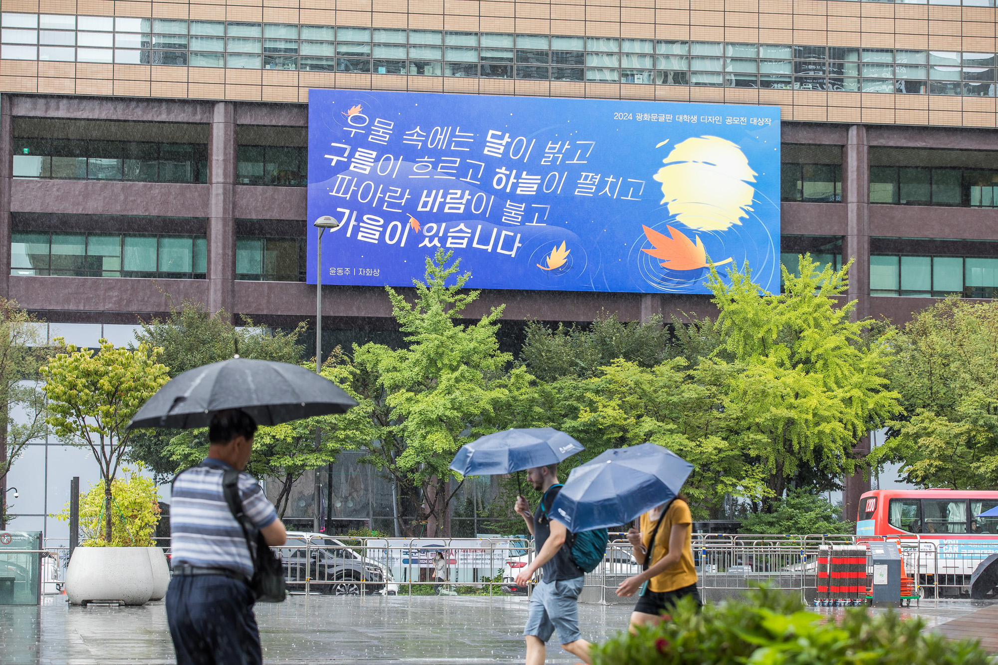 사회;계절;계절스케치;가을스케치;가을비;광화문광장;광화문광장가을비스케치