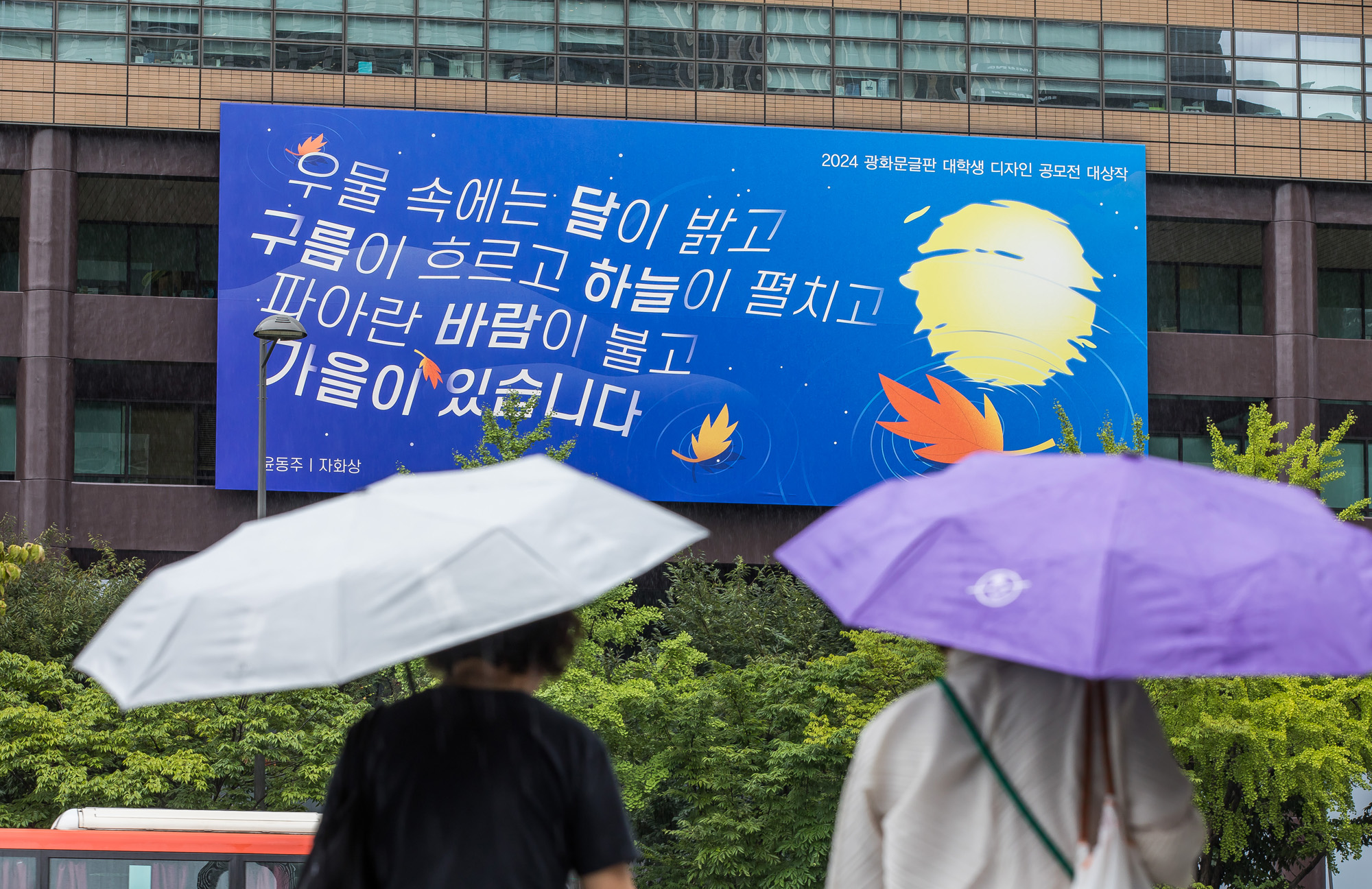 사회;계절;계절스케치;가을스케치;가을비;광화문광장;광화문광장가을비스케치