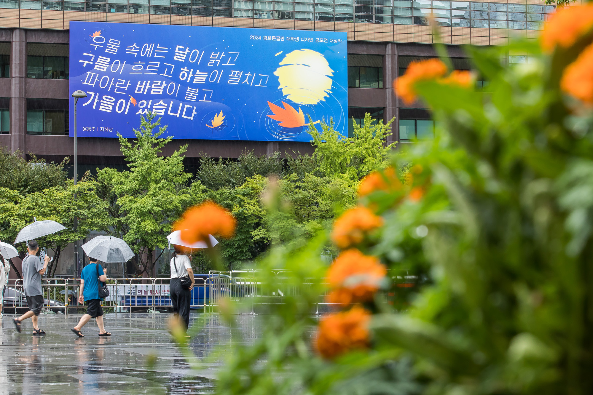 사회;계절;계절스케치;가을스케치;가을비;광화문광장;광화문광장가을비스케치