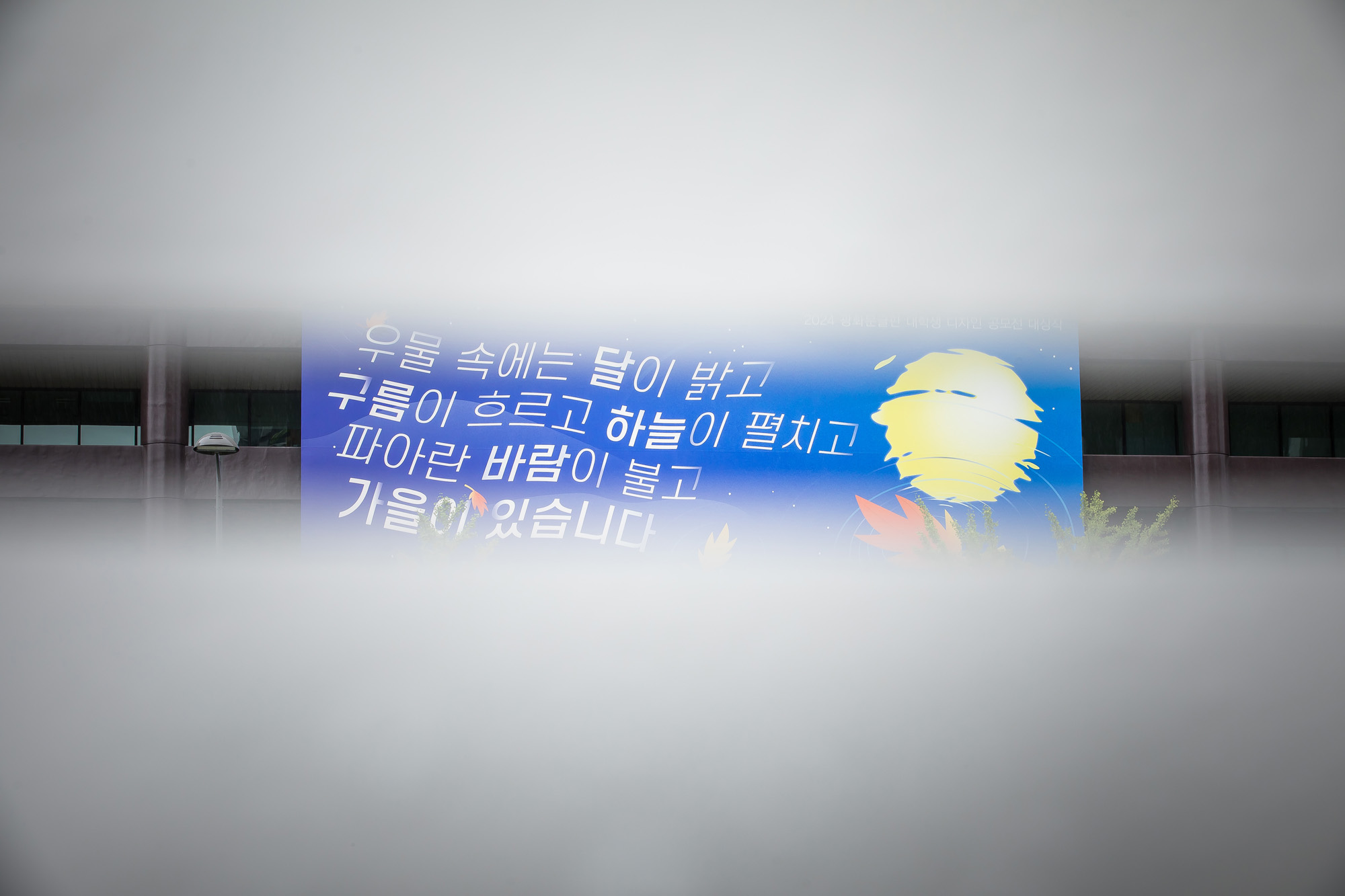 사회;계절;계절스케치;가을스케치;가을비;광화문광장;광화문광장가을비스케치