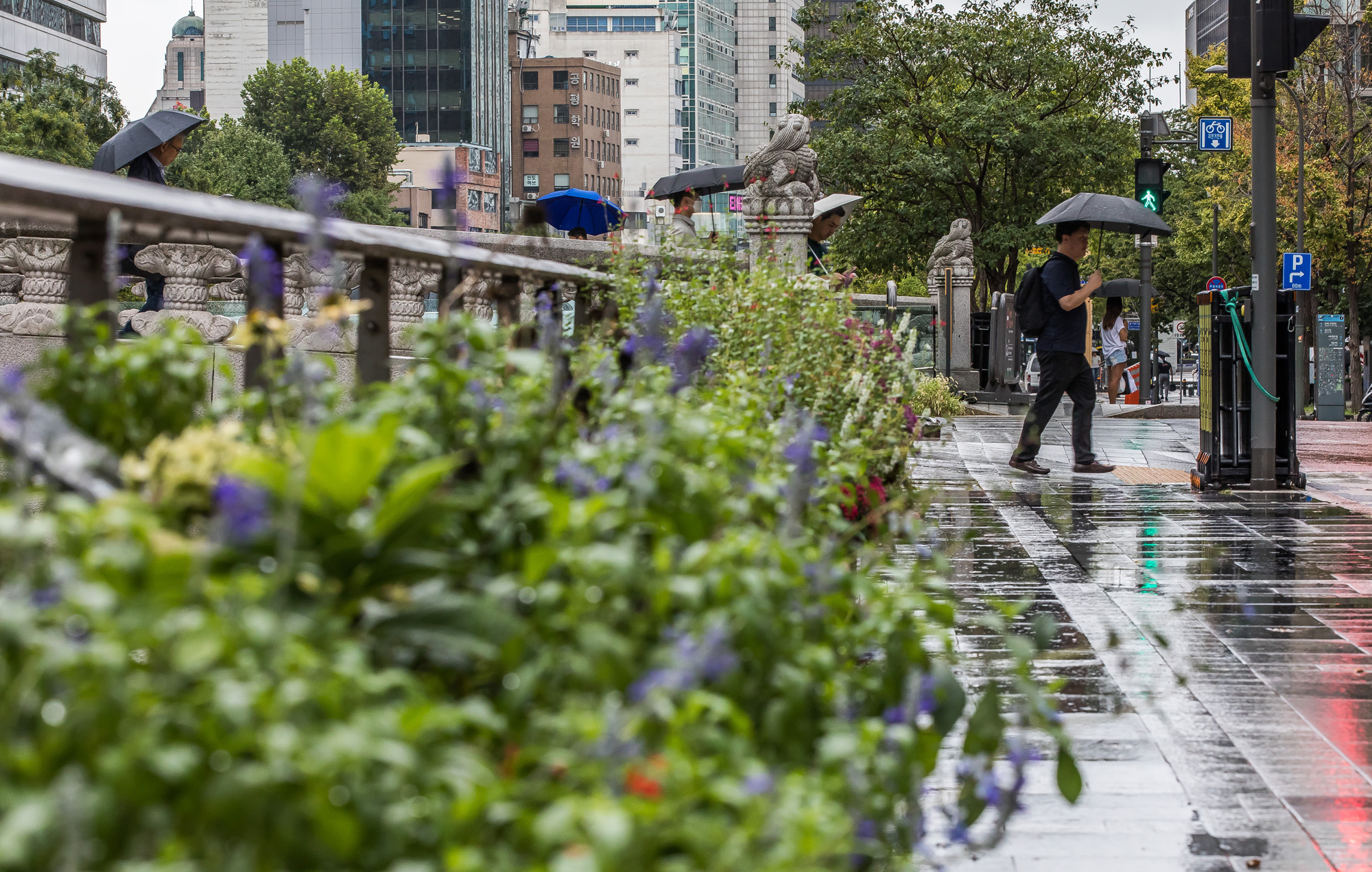 사회;계절;가을;가을비;가을비스케치;가을장마;광화문네거리