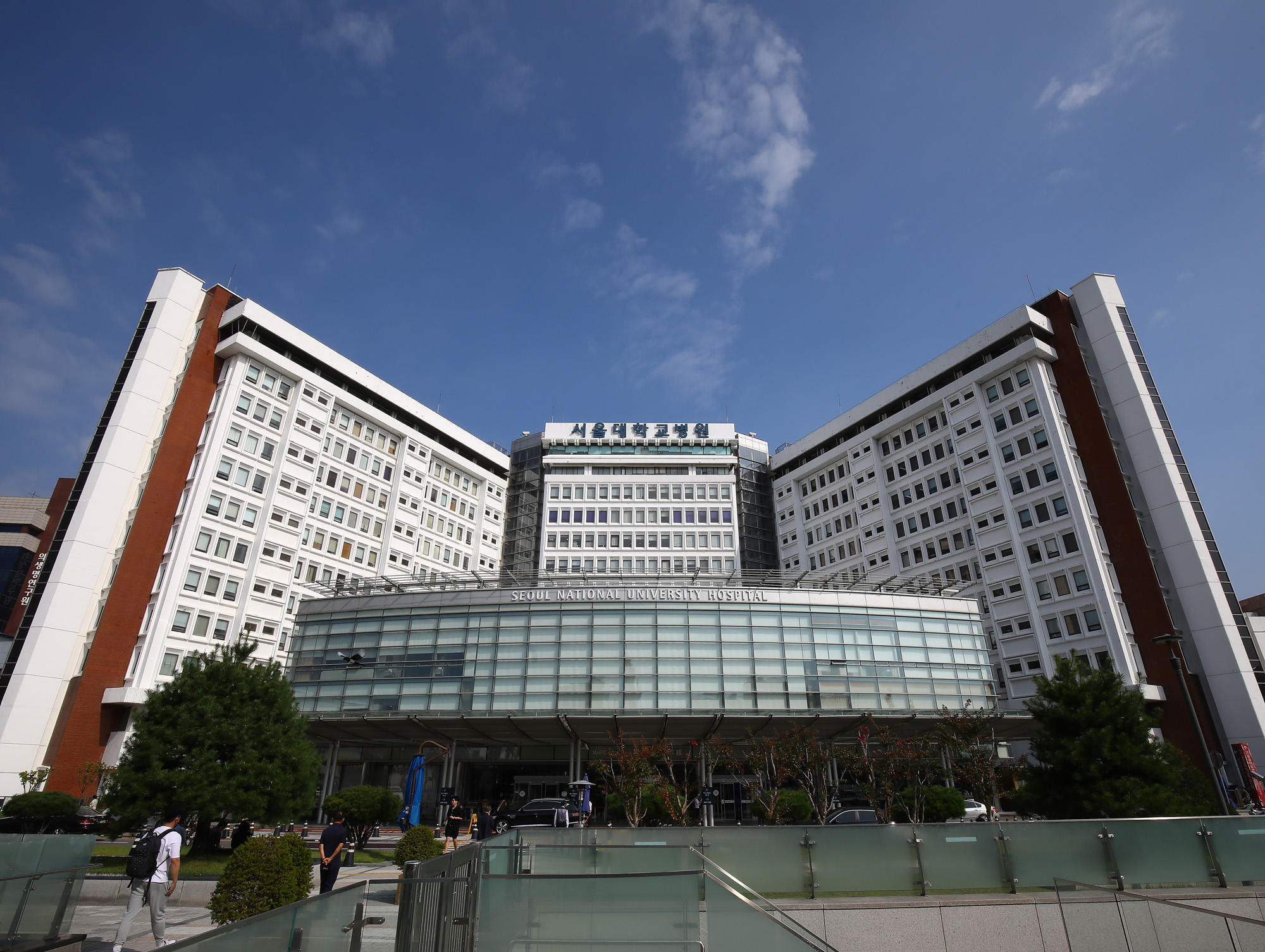 서울대학교 병원