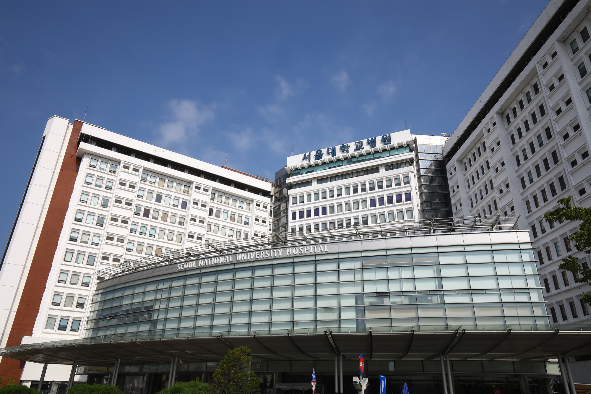 서울대학교 병원