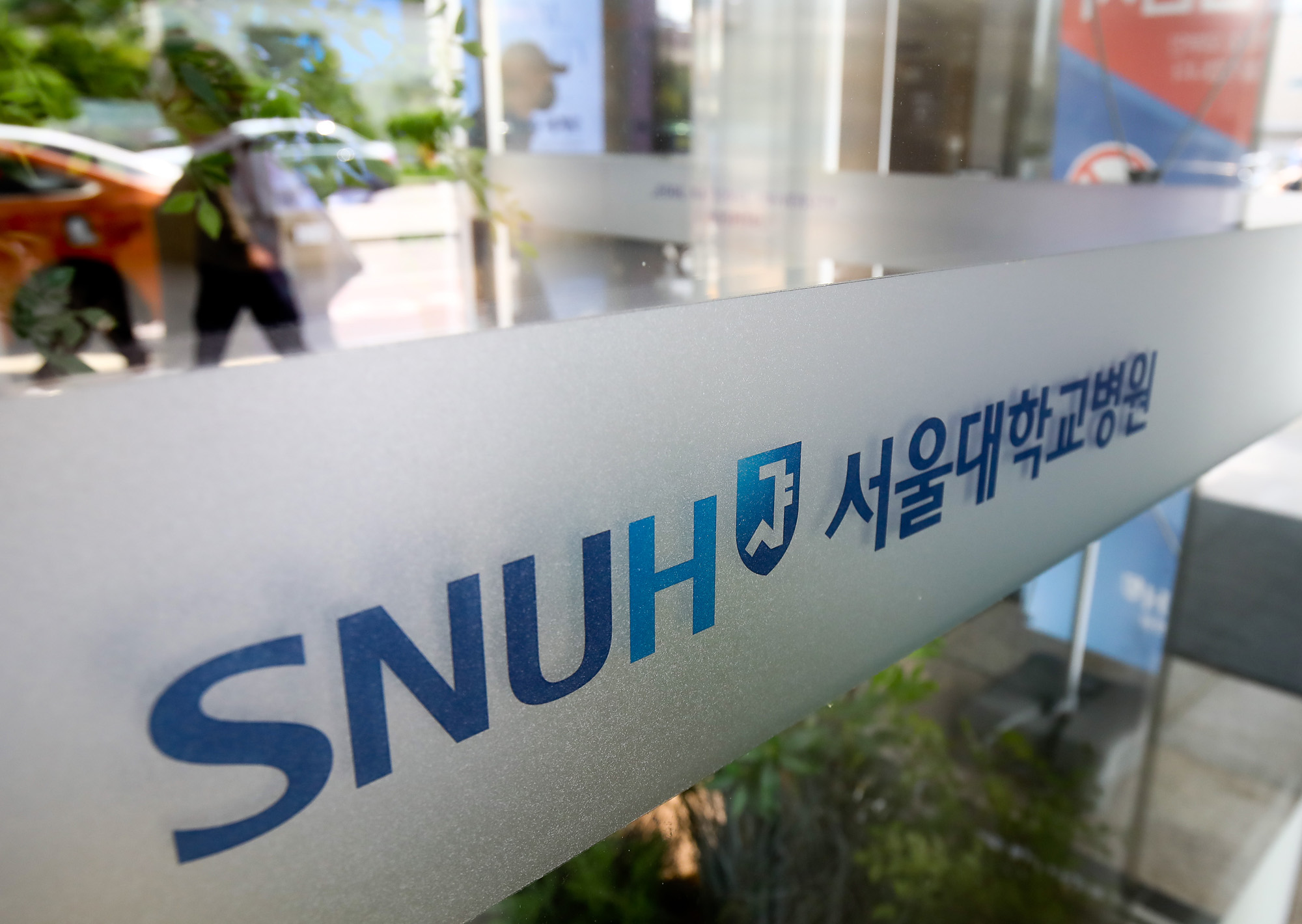 서울대학교 병원