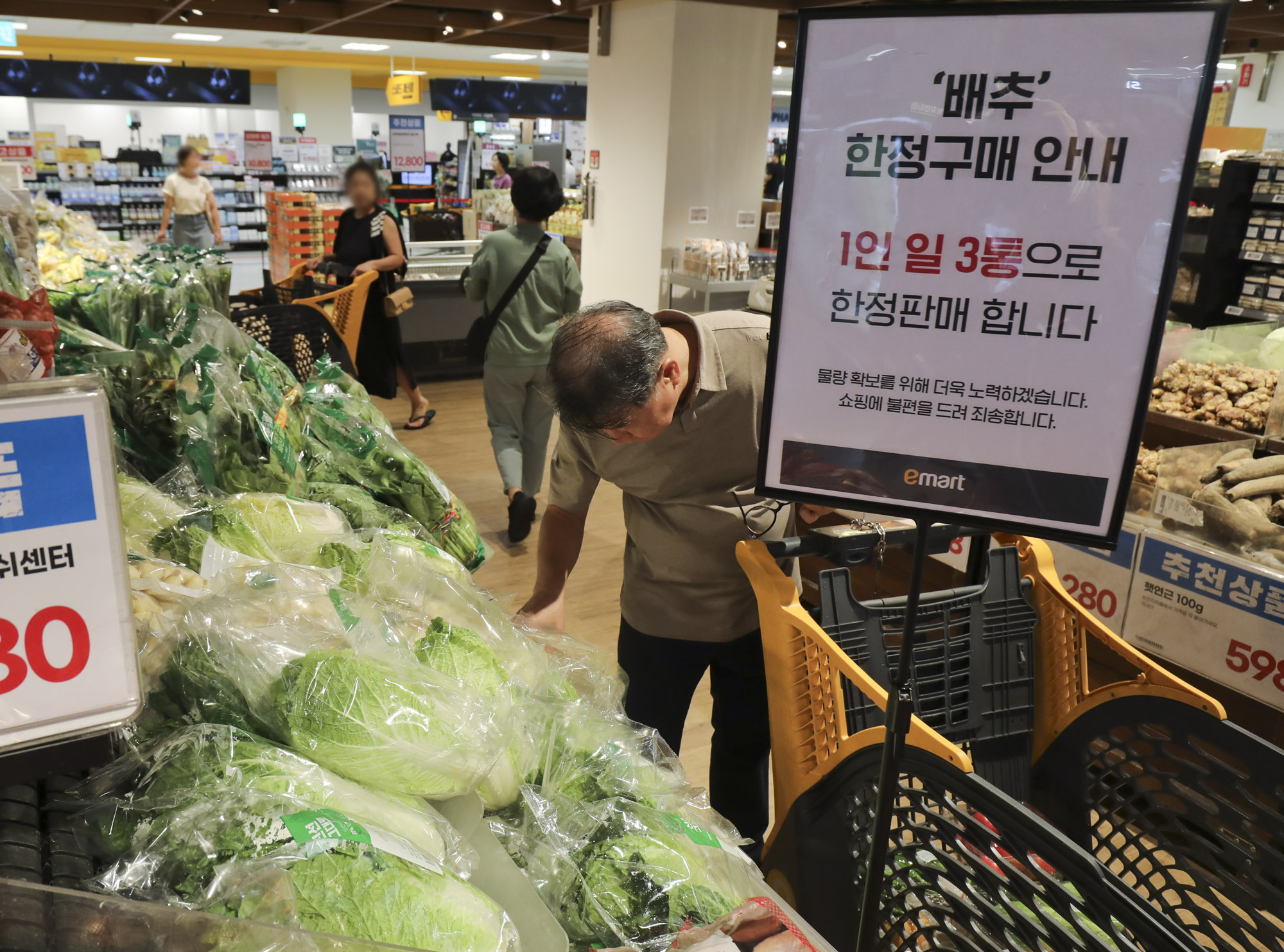 배추;배춧가격;김치;물가
