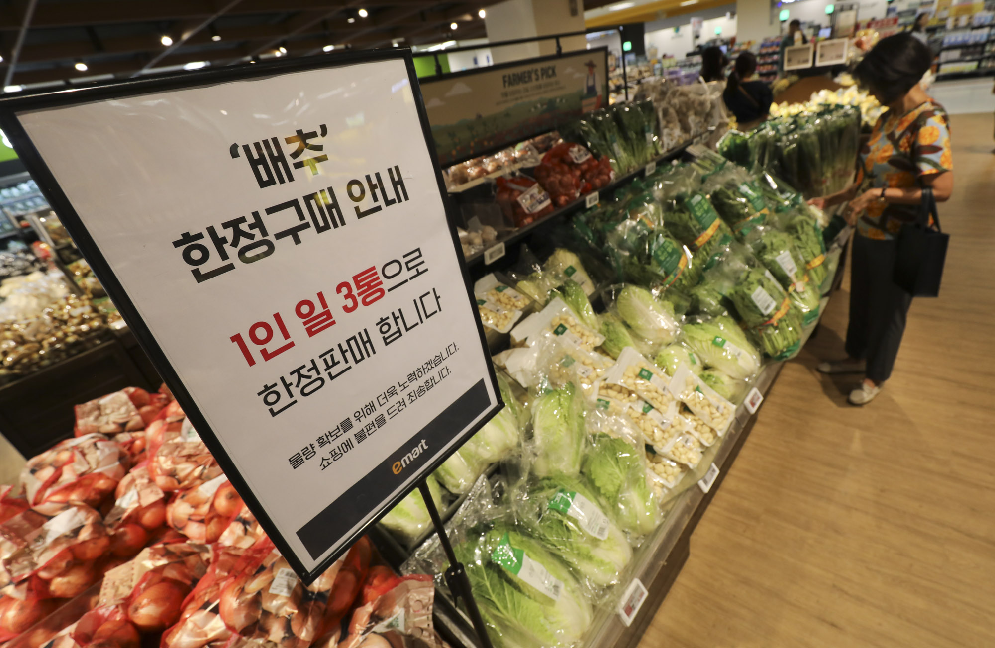 배추;배춧가격;김치;물가