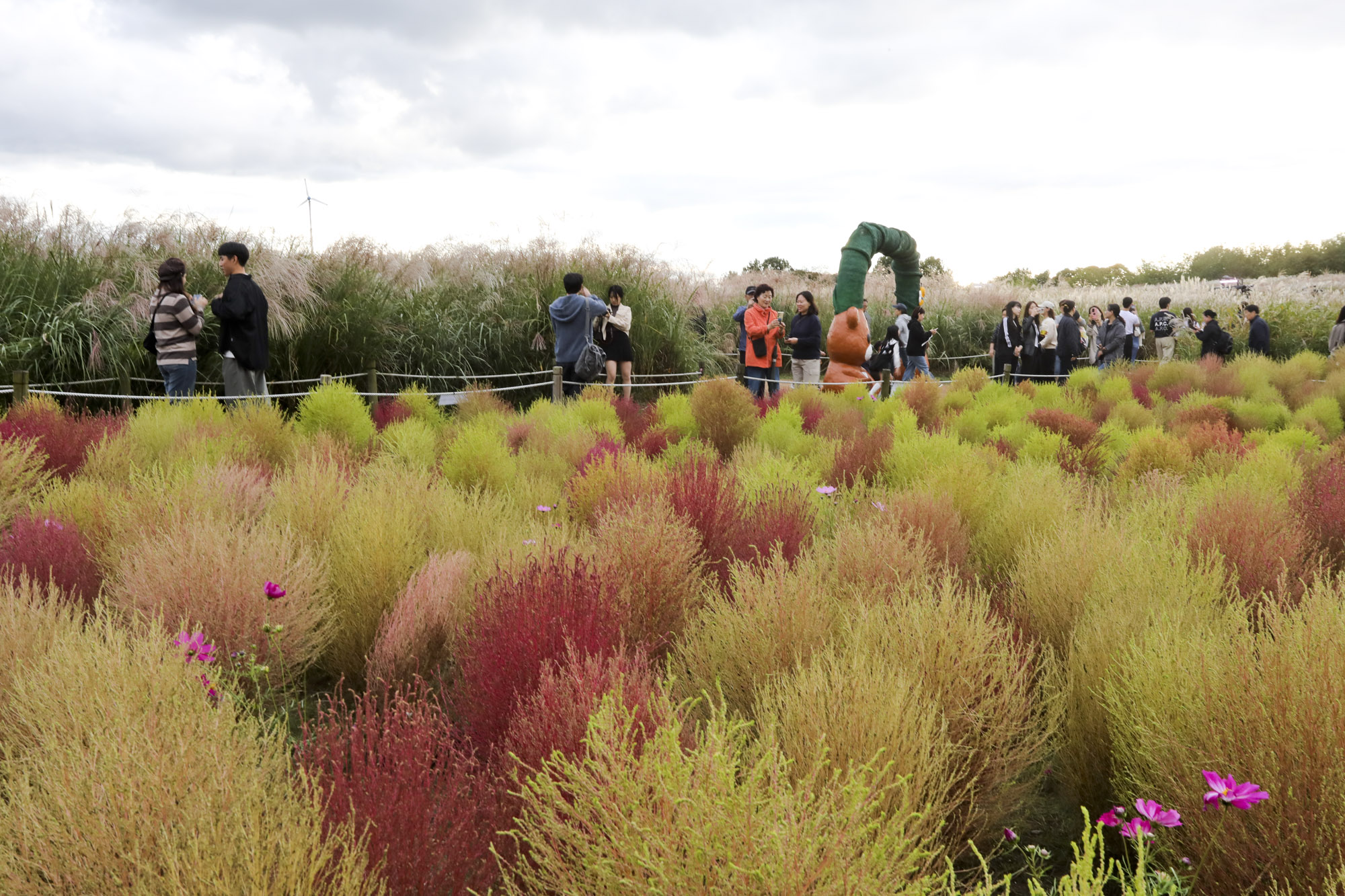하늘공원;가을;억새축제;서울억새축제;하늘공원억새축제