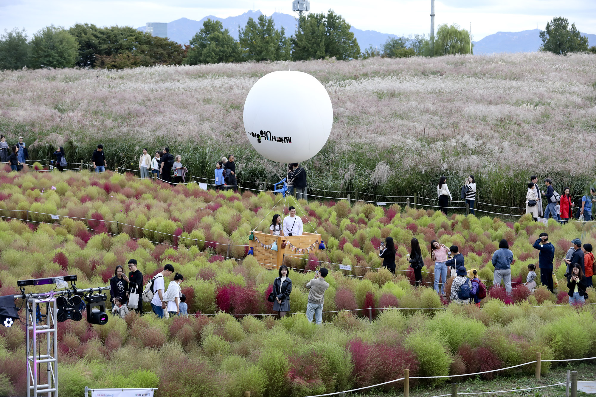 하늘공원;가을;억새축제;서울억새축제;하늘공원억새축제