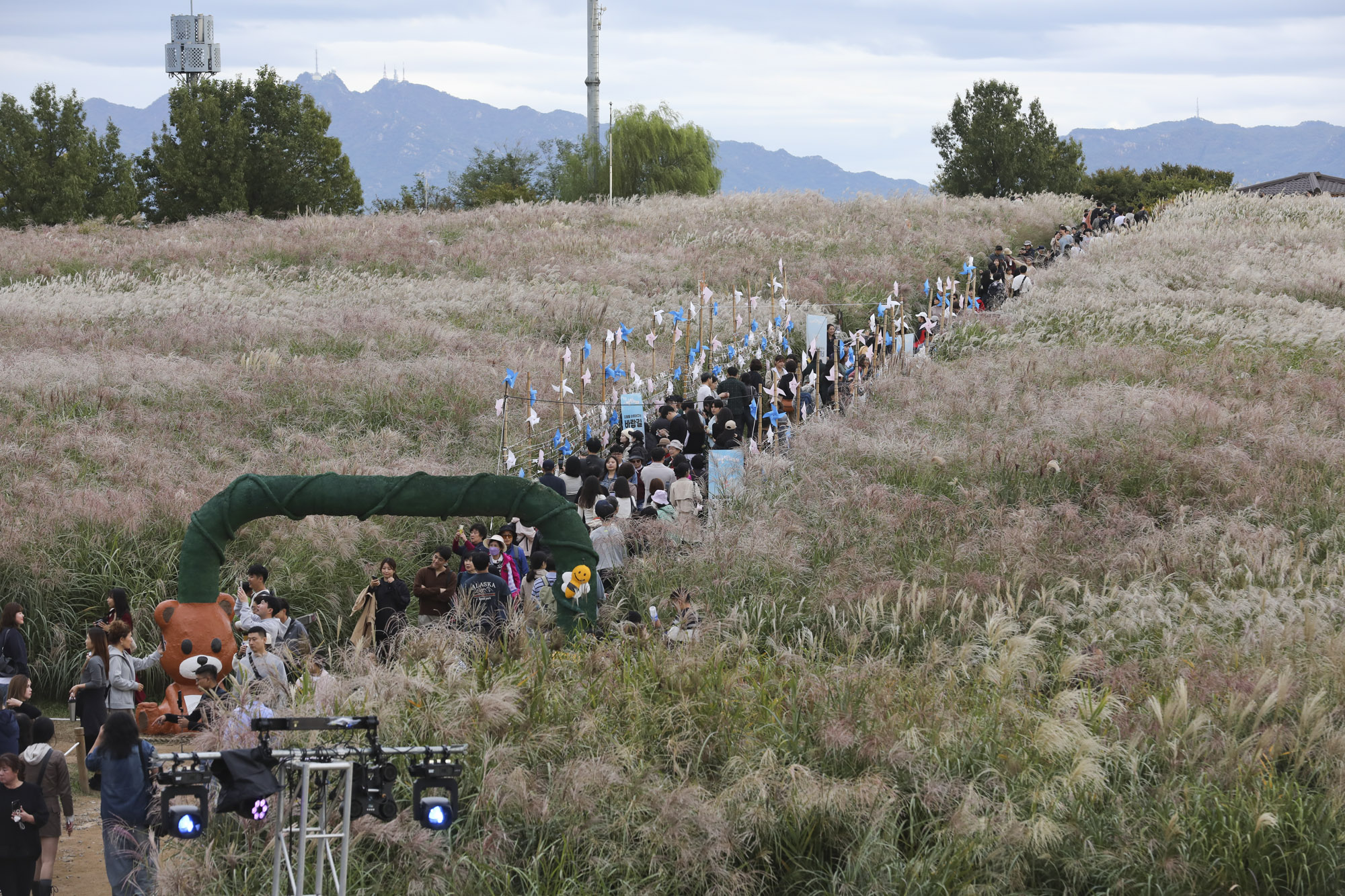 하늘공원;가을;억새축제;서울억새축제;하늘공원억새축제