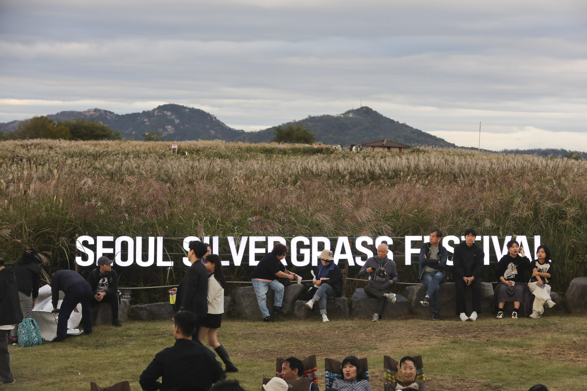 하늘공원;가을;억새축제;서울억새축제;하늘공원억새축제
