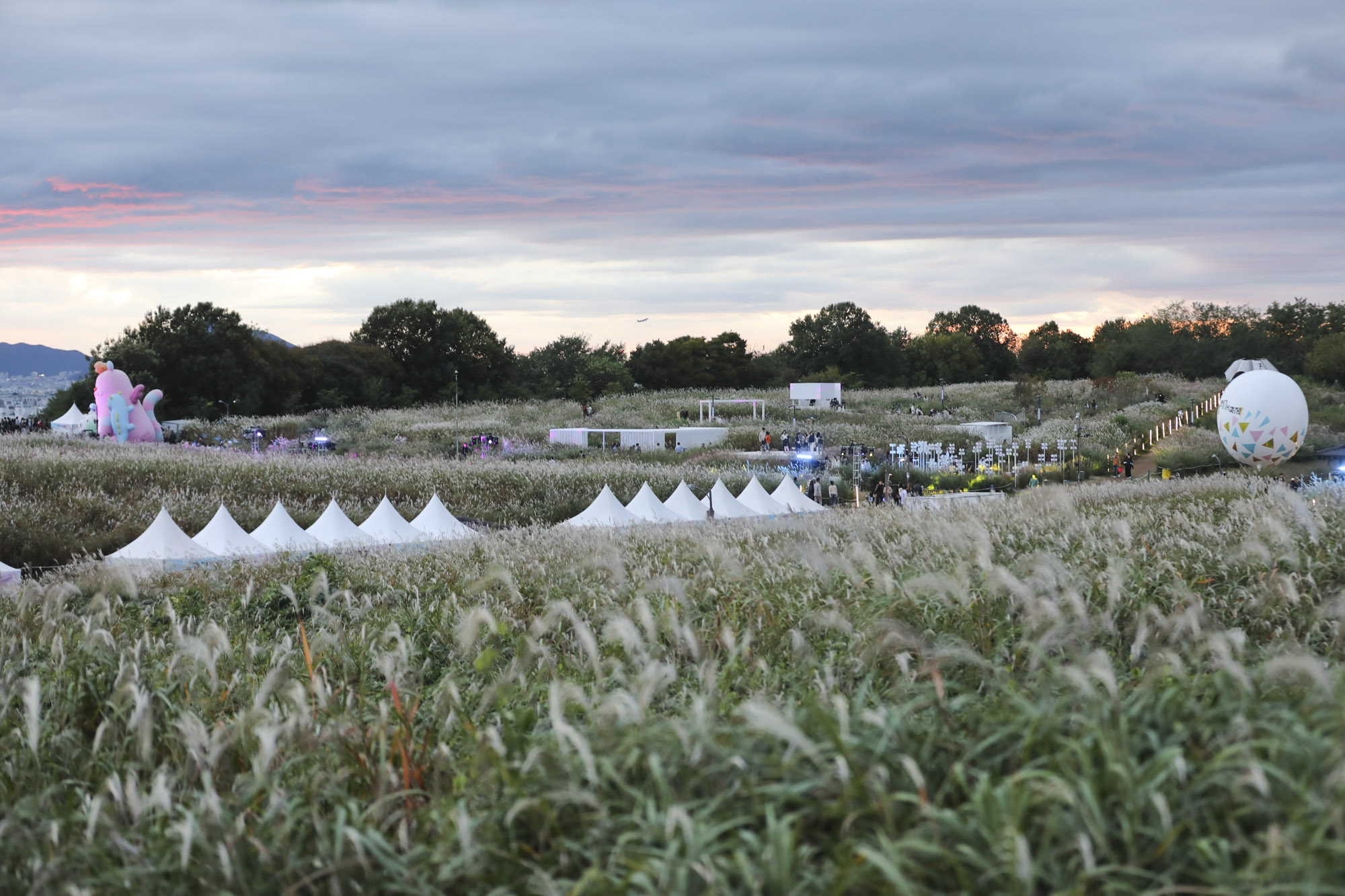 하늘공원;가을;억새축제;서울억새축제;하늘공원억새축제
