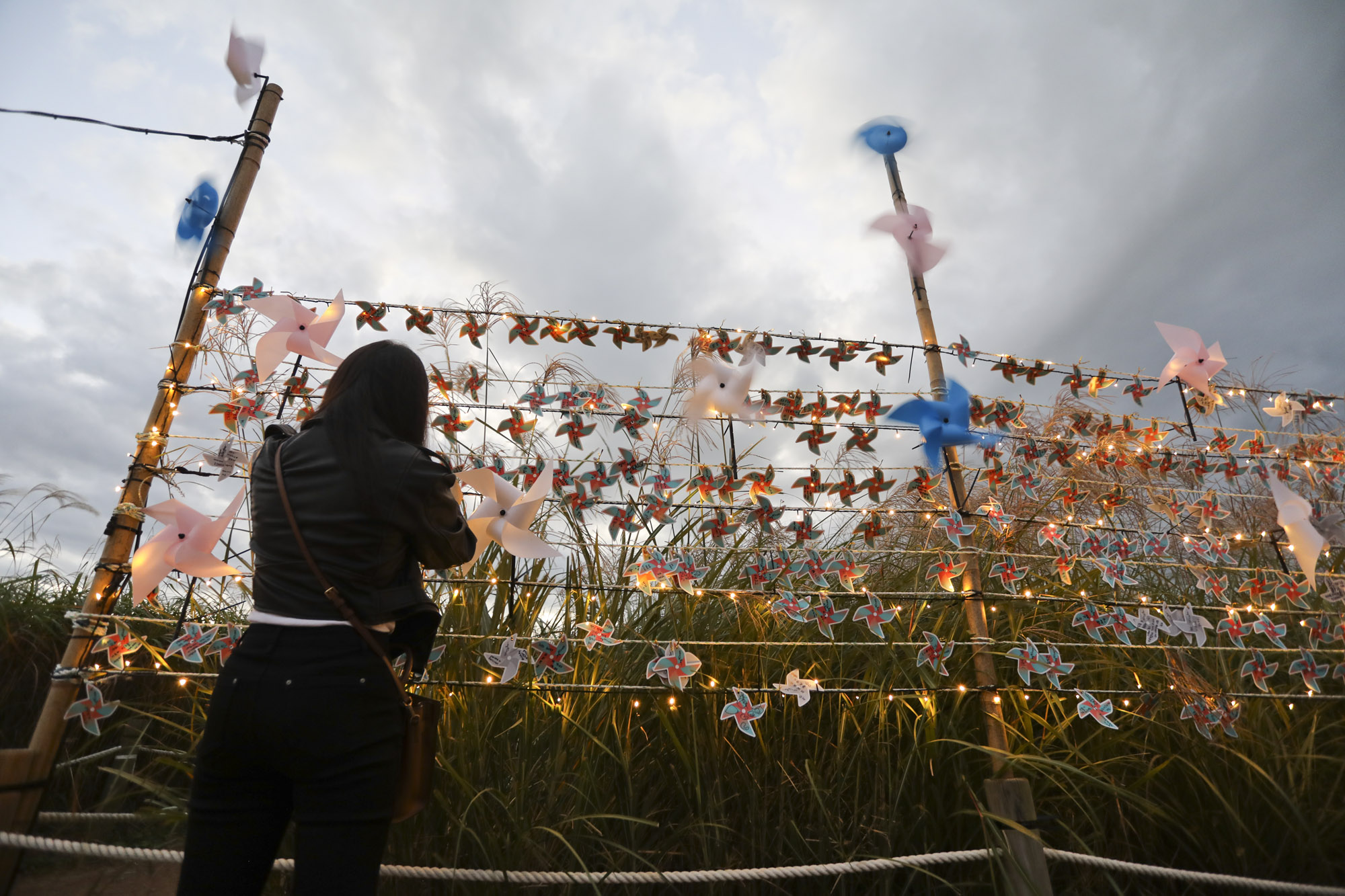 하늘공원;가을;억새축제;서울억새축제;하늘공원억새축제