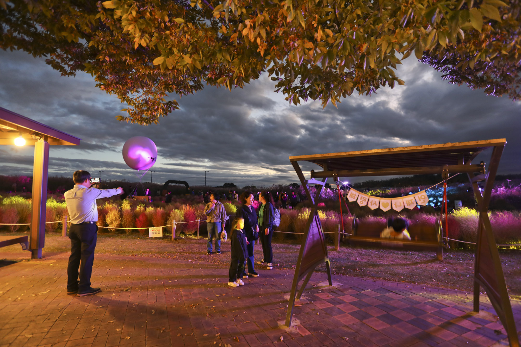 하늘공원;가을;억새축제;서울억새축제;하늘공원억새축제