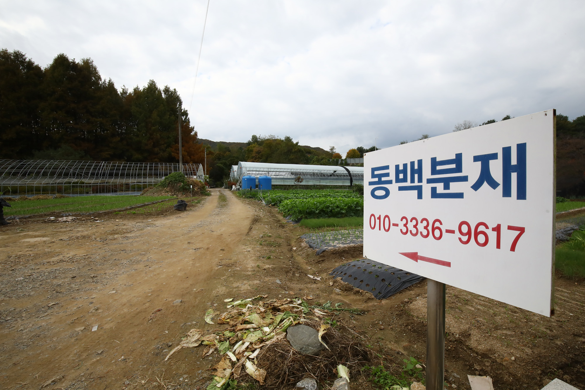 내곡동