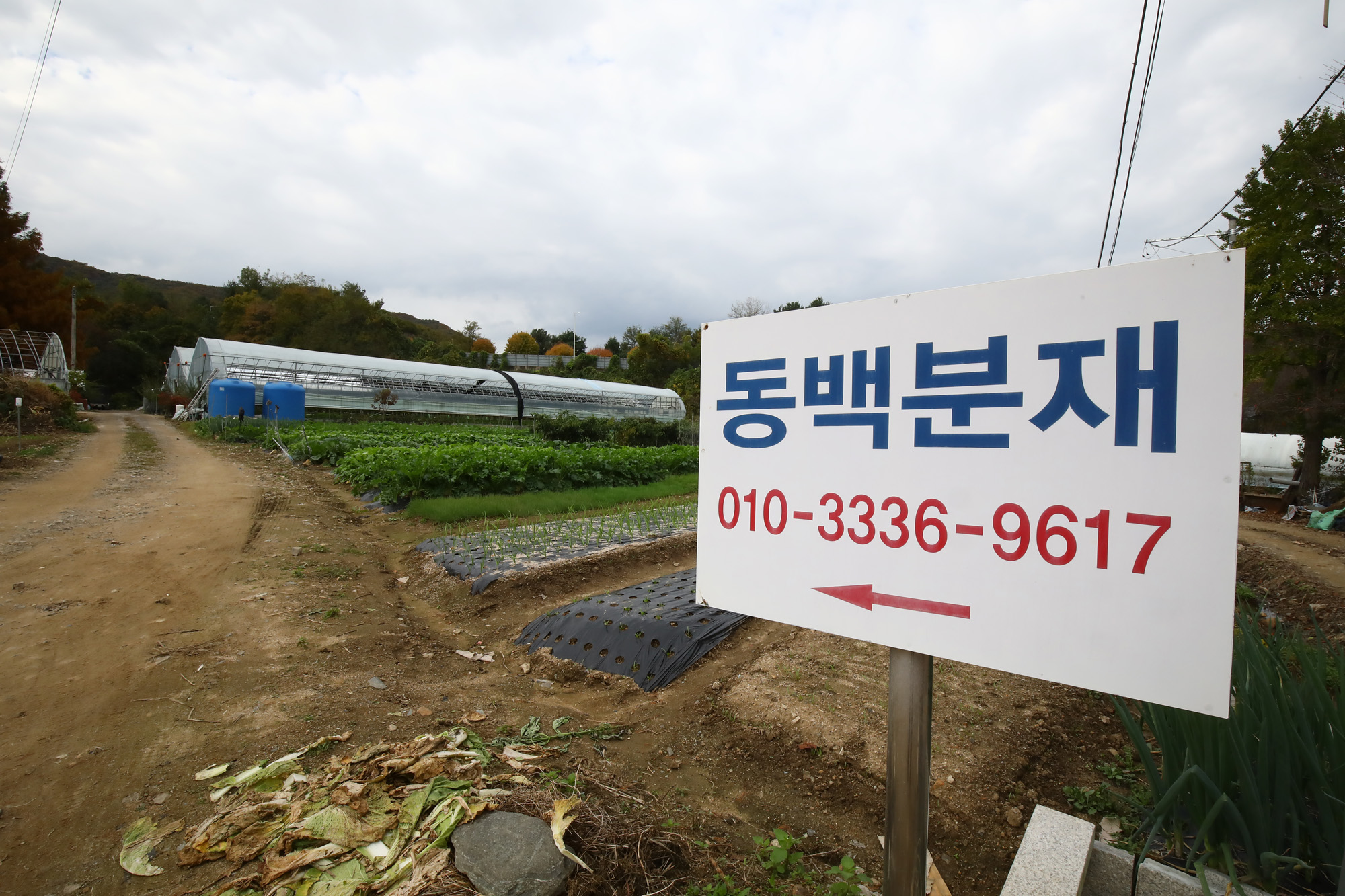 내곡동