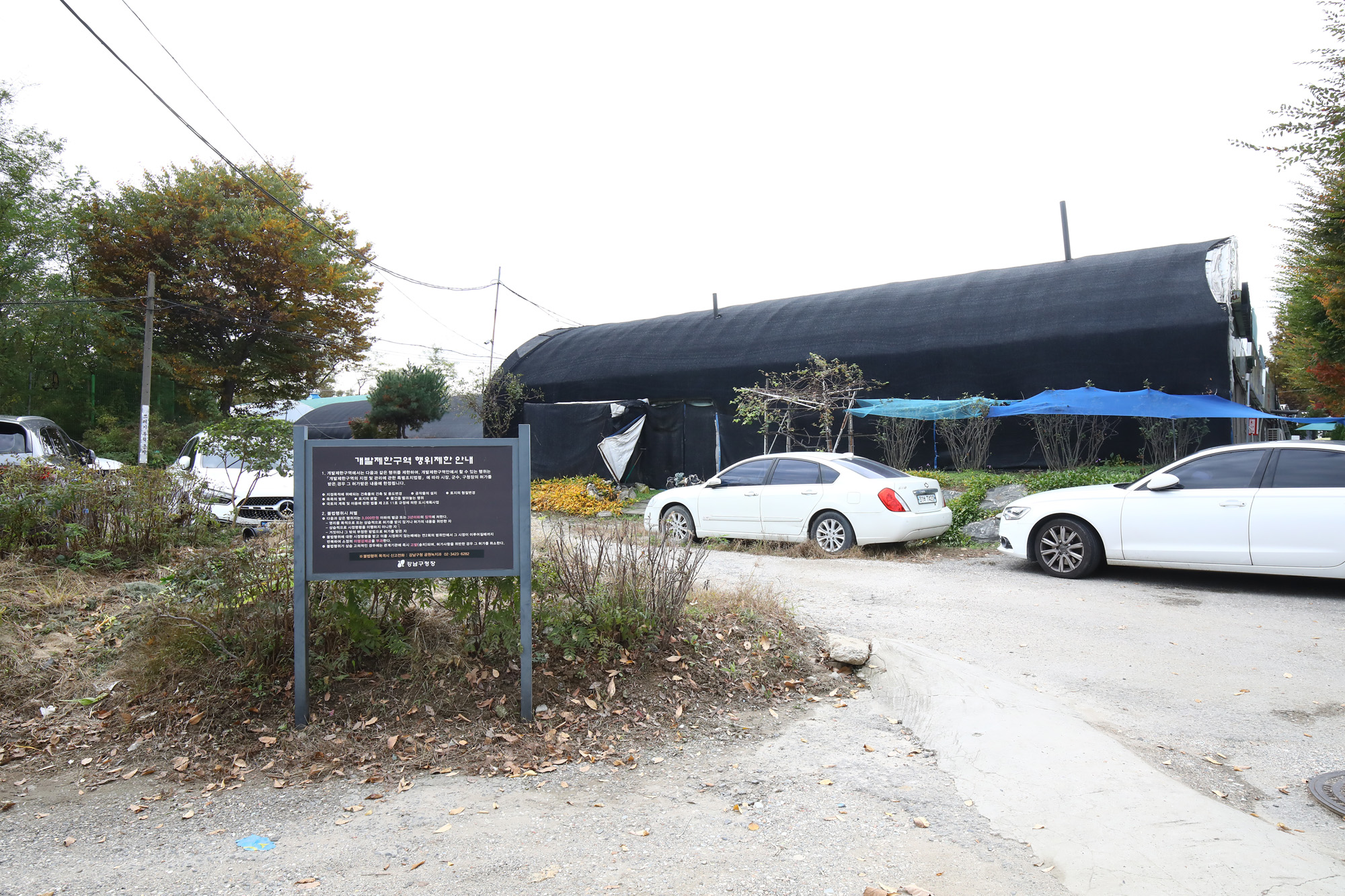 세곡동 화훼단지