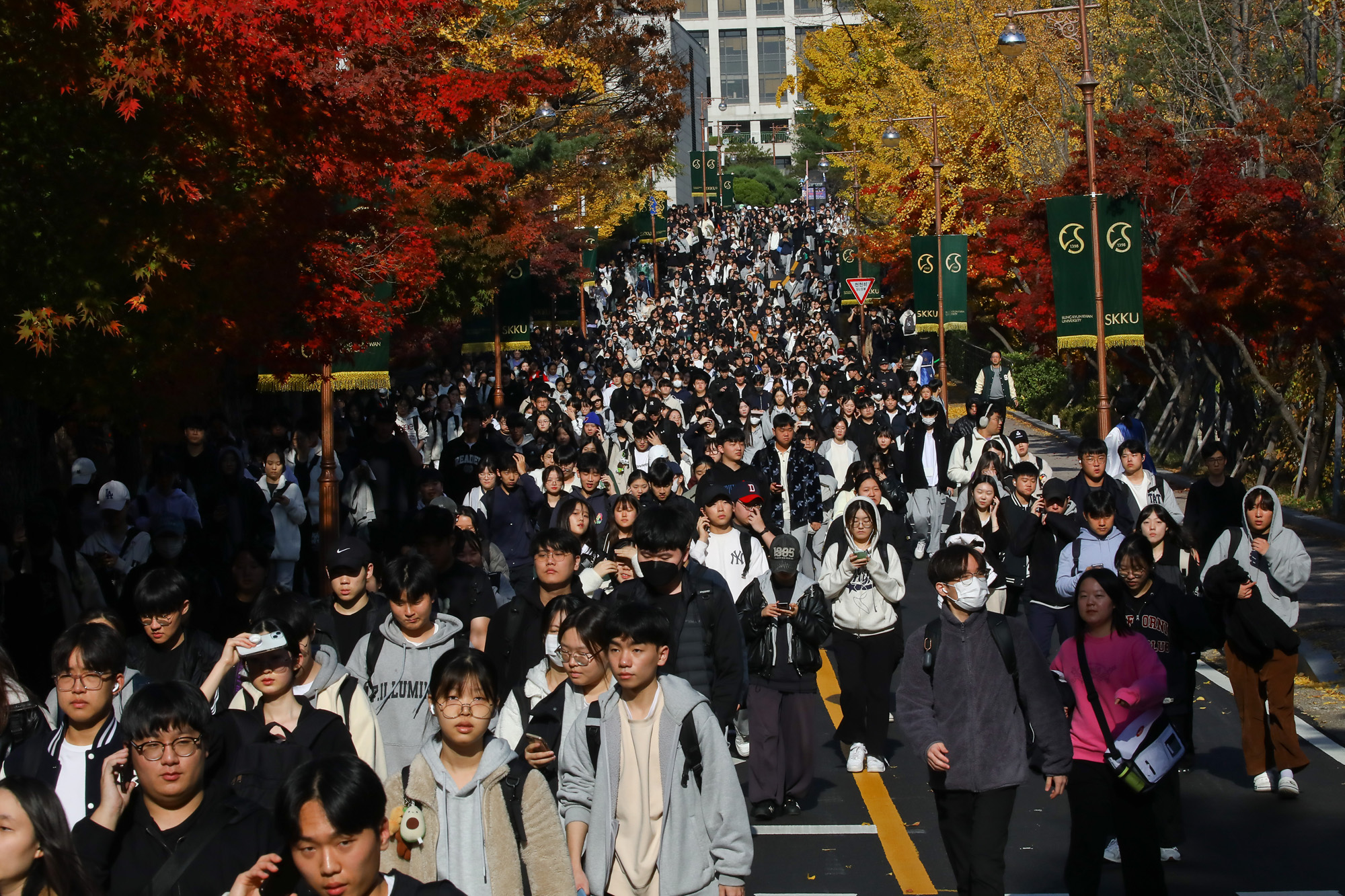 논술시험 논술 수능 성균관대