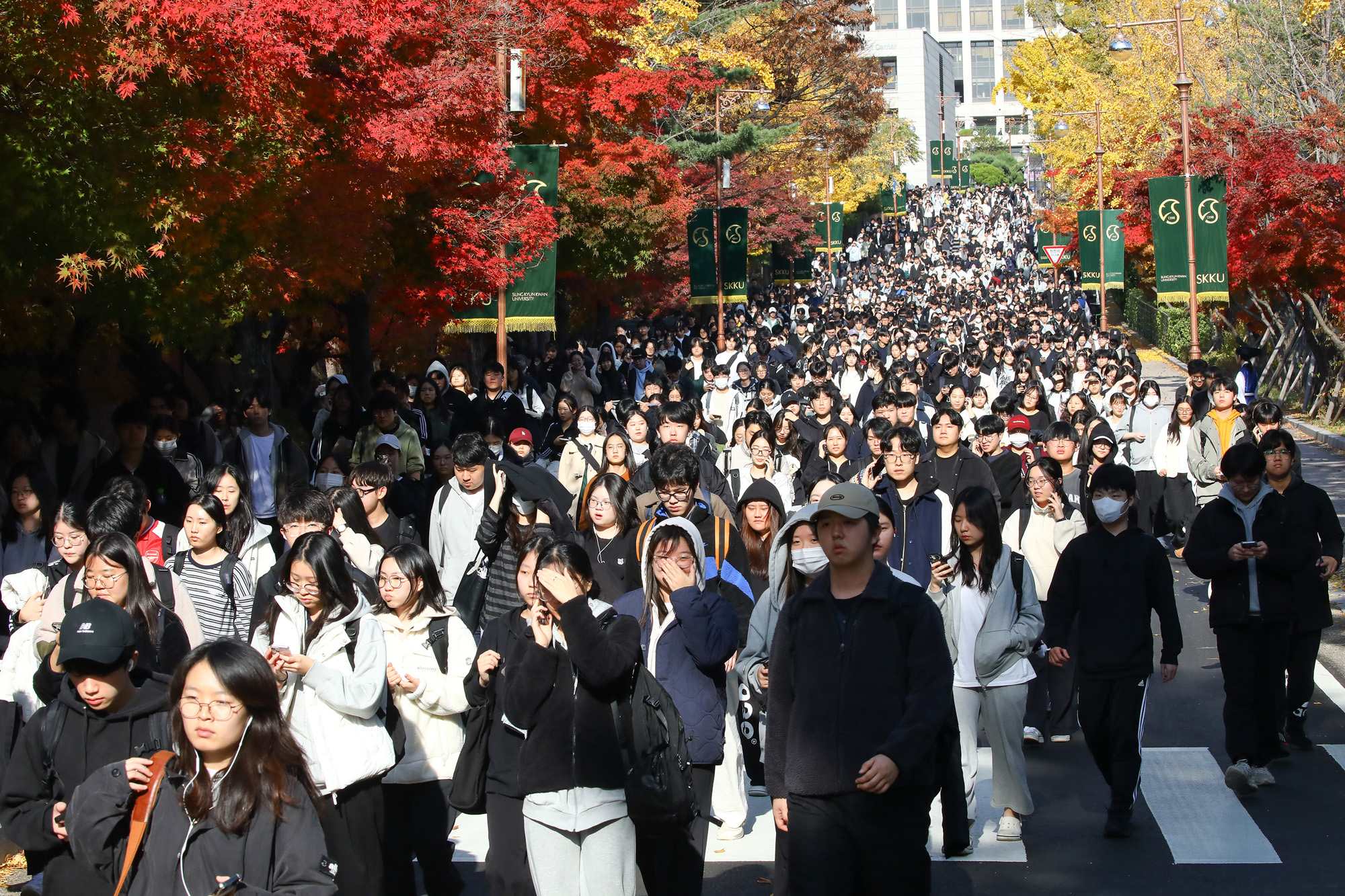 논술시험 논술 수능 성균관대