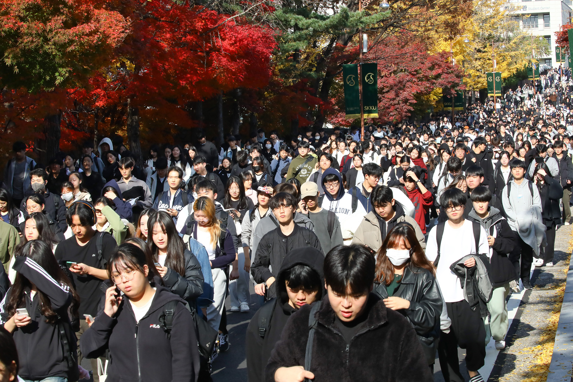 논술시험 논술 수능 성균관대