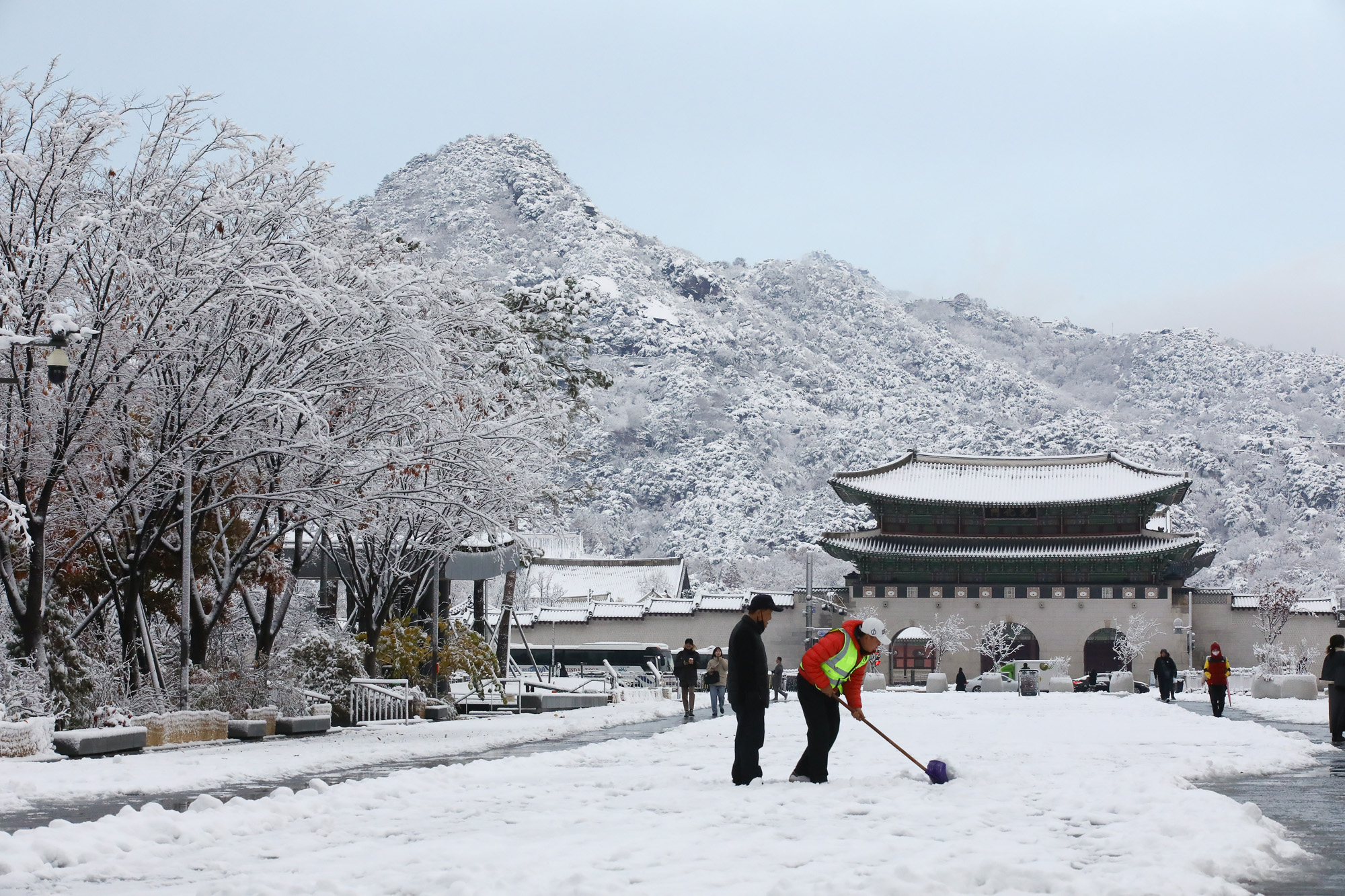 서울 첫눈 광화문 출근