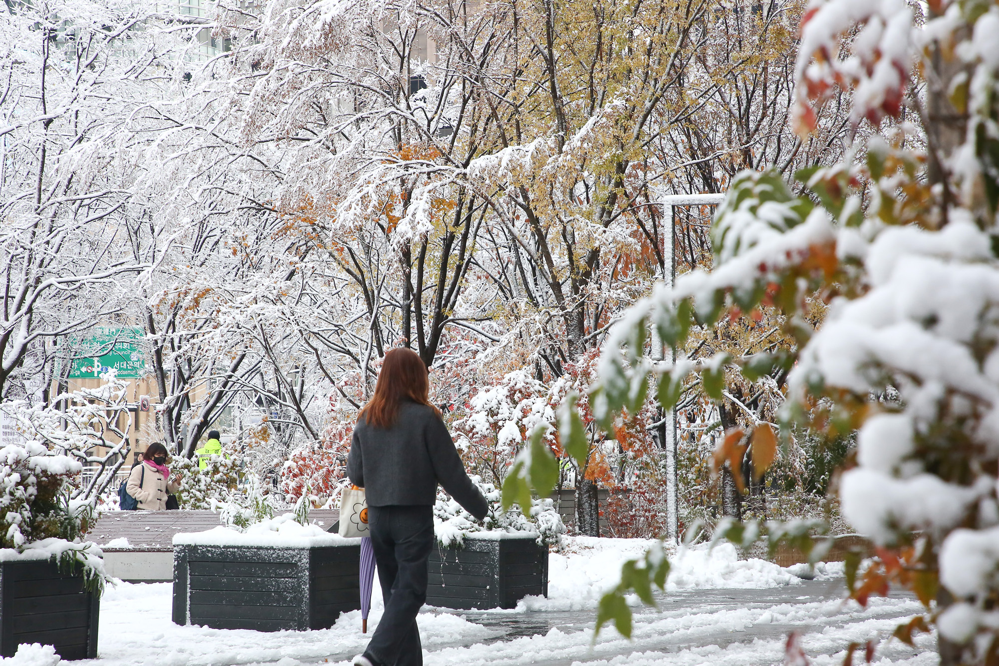 서울 첫눈 광화문 출근