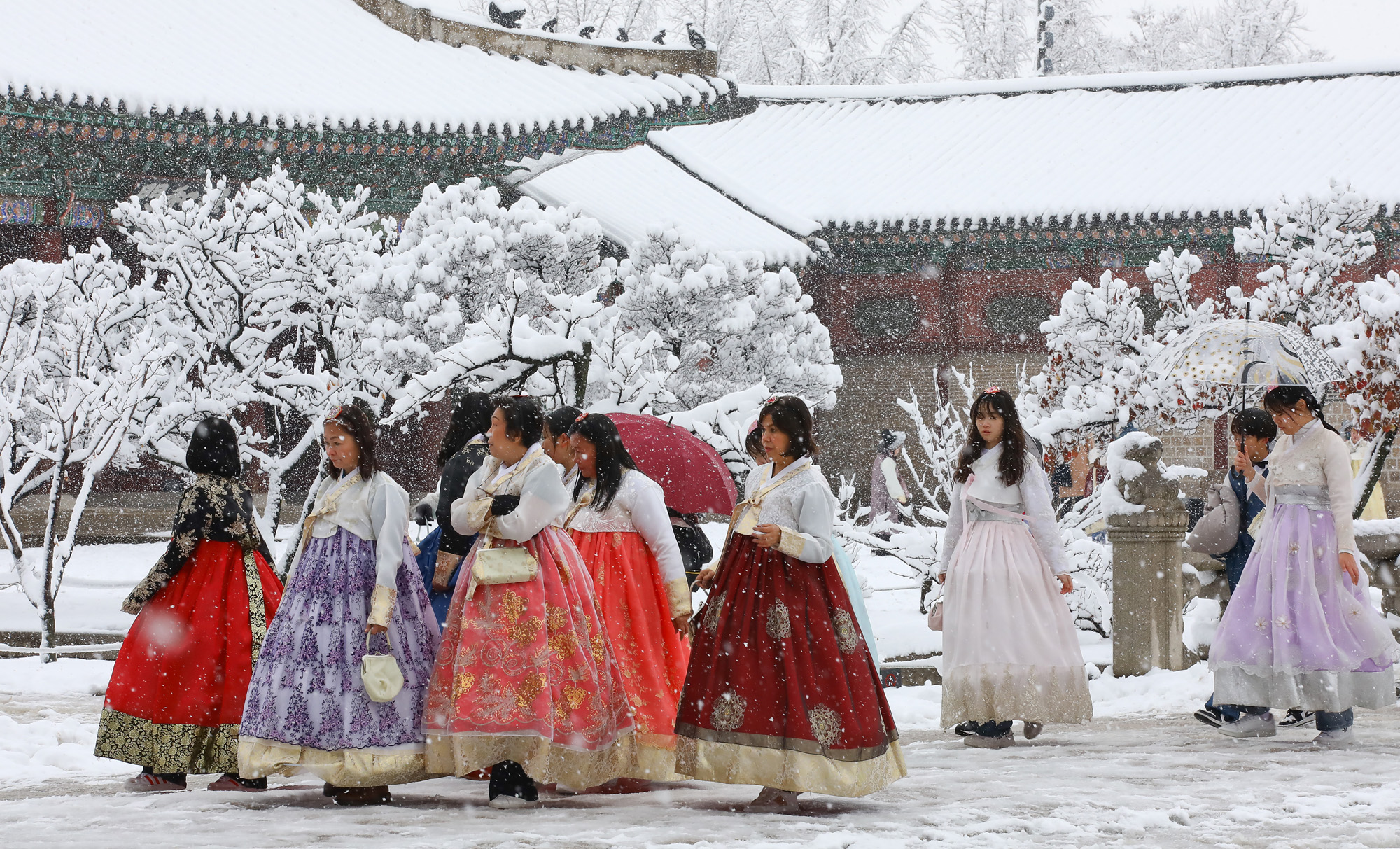 경복궁 외국인 첫눈 관광객