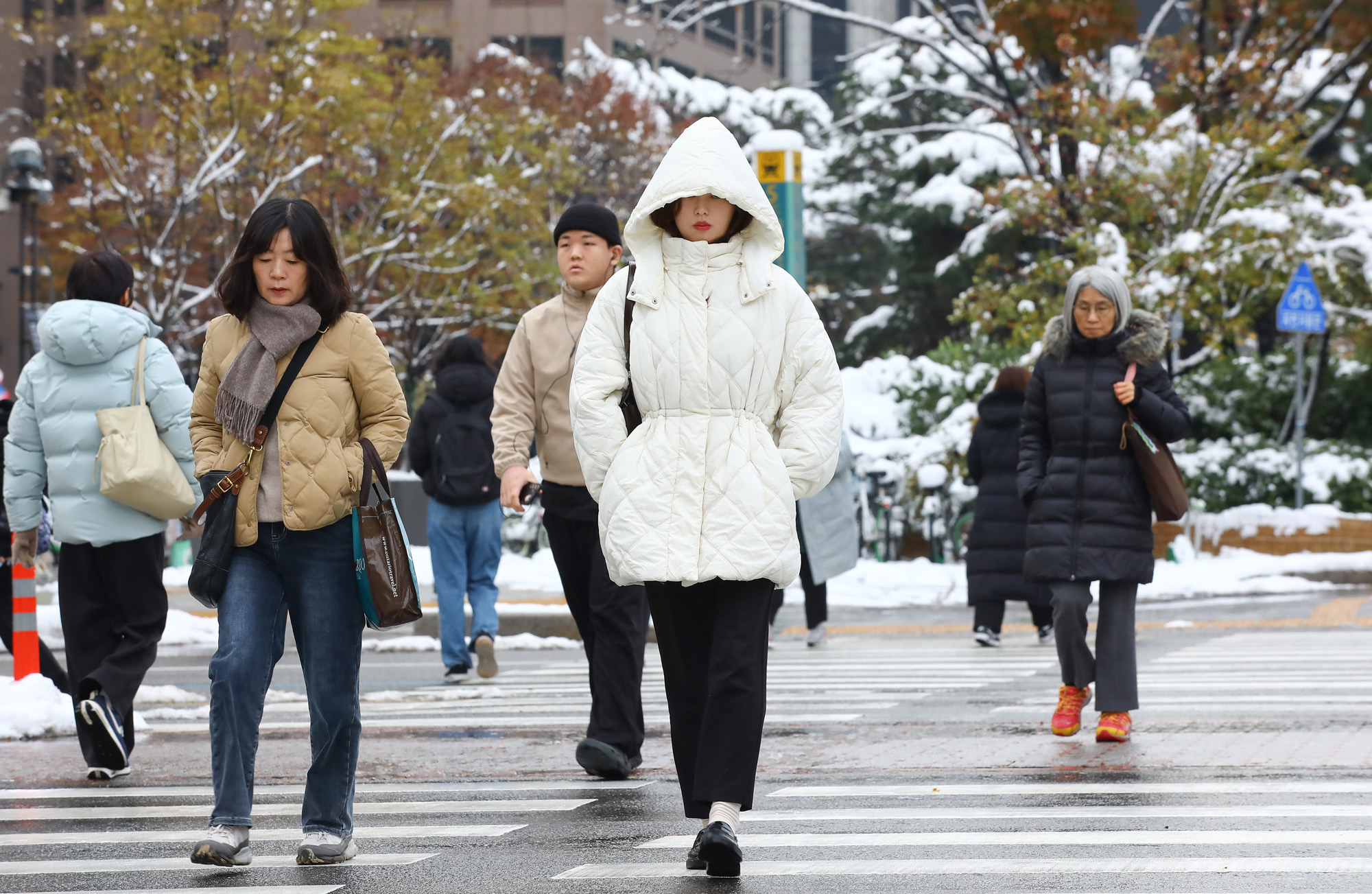 폭설 시민 출근