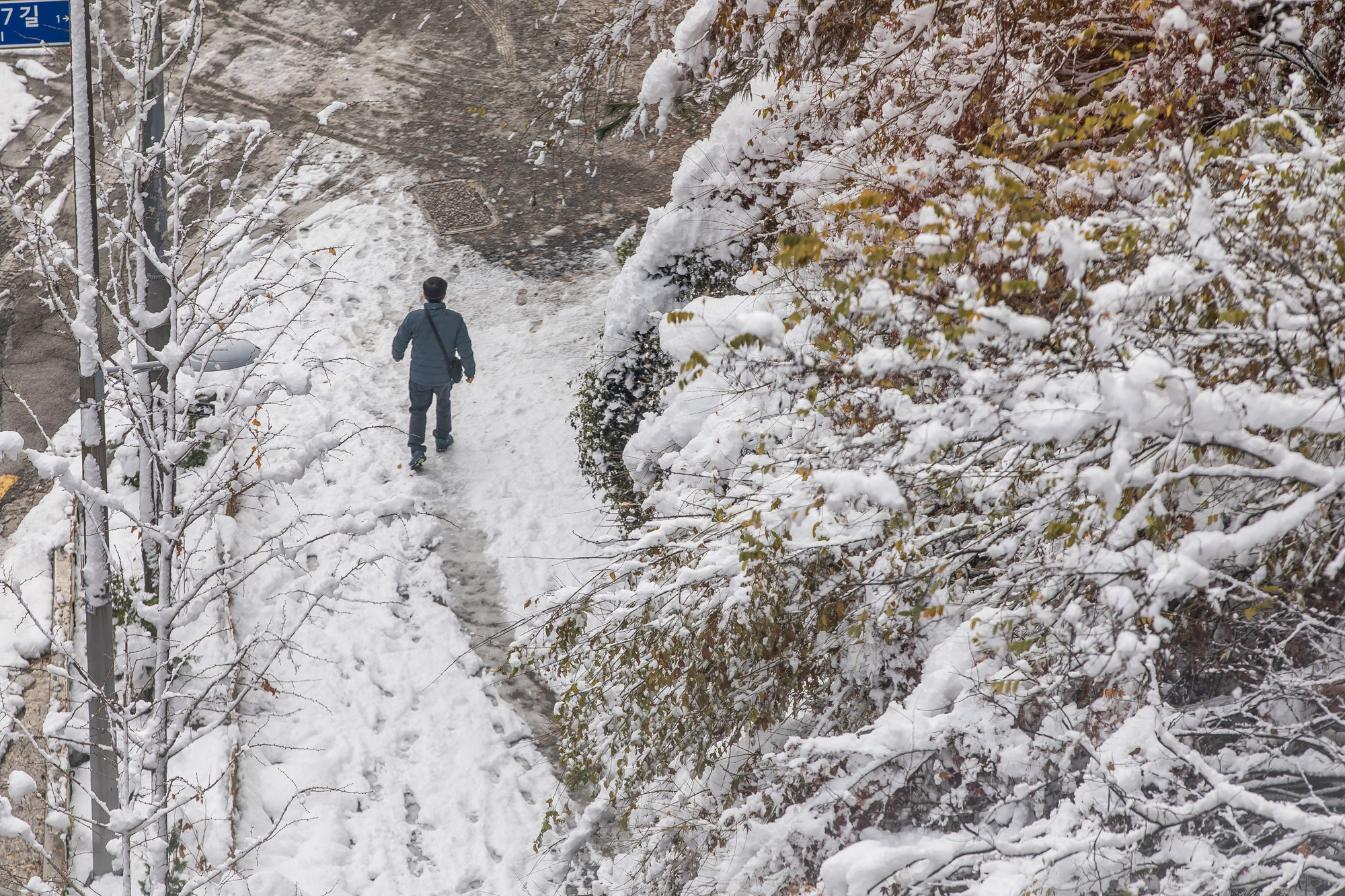 사회;세태;계절스케치;겨울스케치;폭설스케치;서울눈스케치;폭설출근길