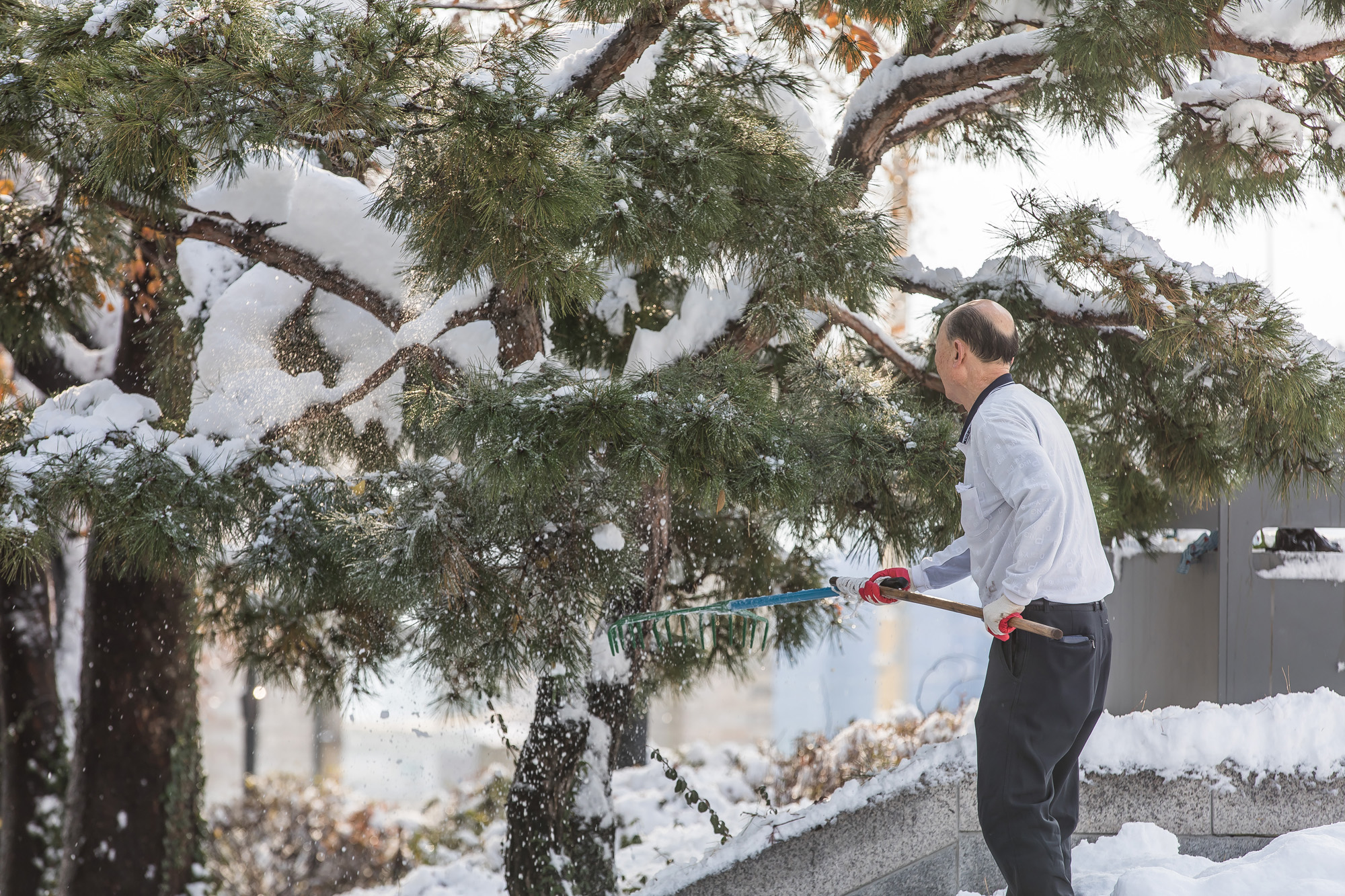 사회;세태;계절스케치;겨울스케치;폭설스케치;서울눈스케치;폭설출근길