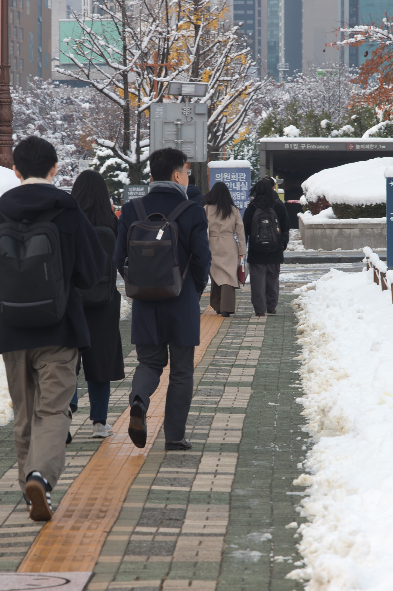 사회;첫눈;눈;눈길;얼음;여의도;국회;국회의사당