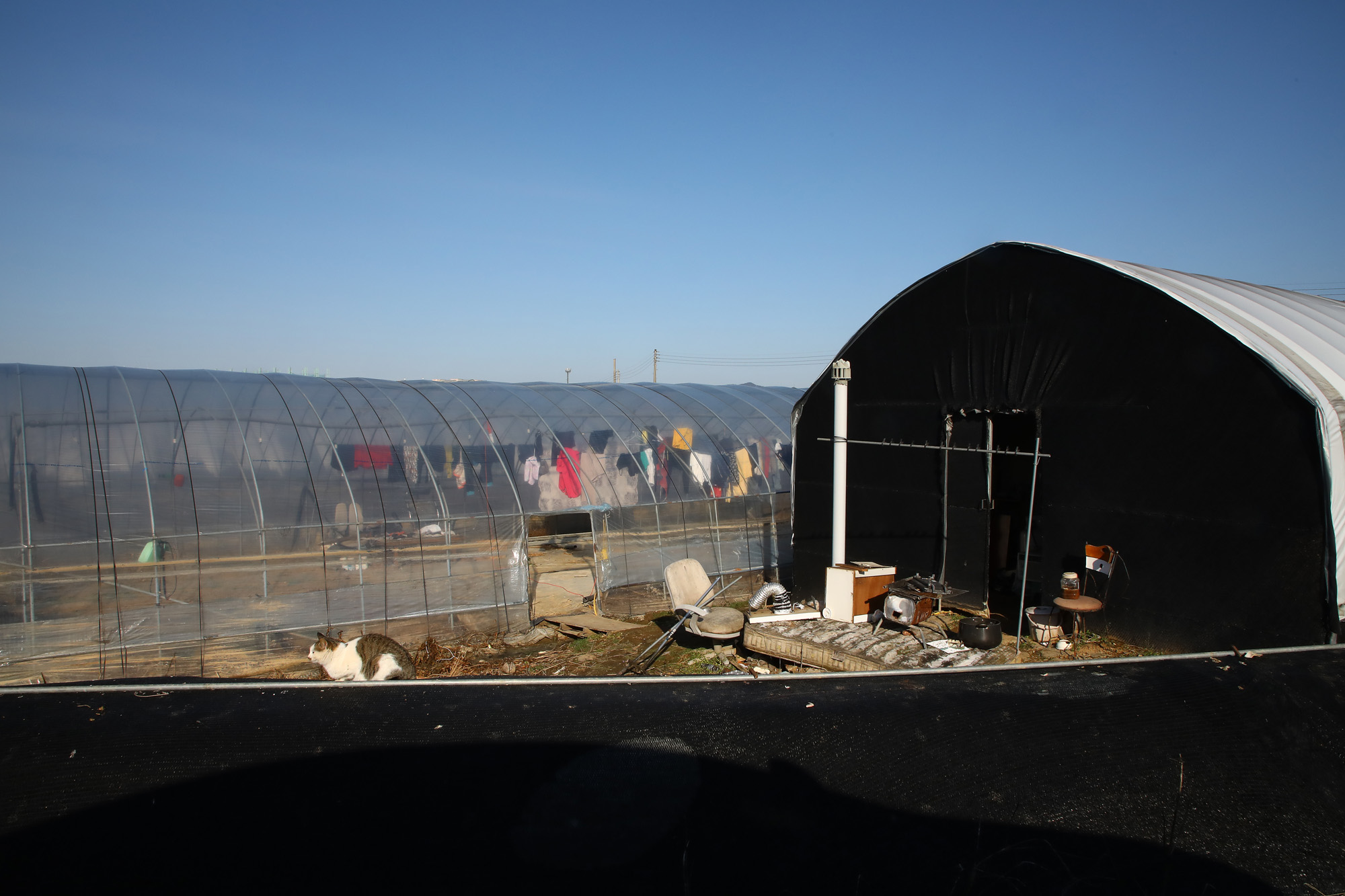 경기도 포천 이주노동자 농장